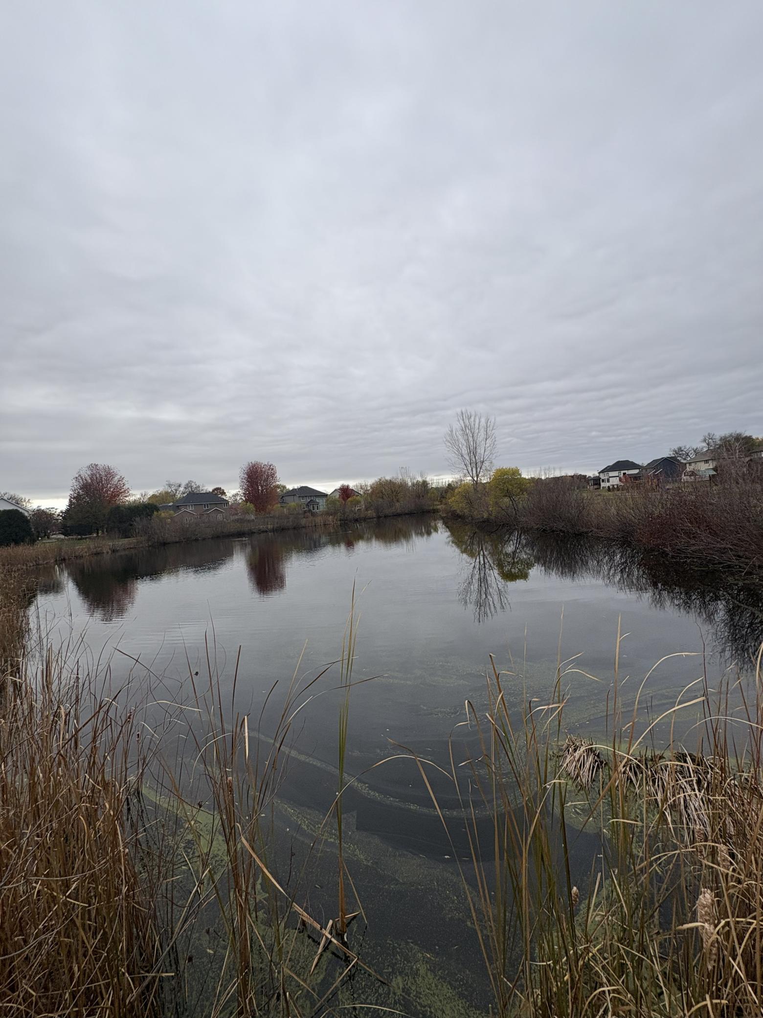 Homes for sale in Sartell, MN | 704 19th Ave N, Sartell, MN 56377 | MLS# 6811987