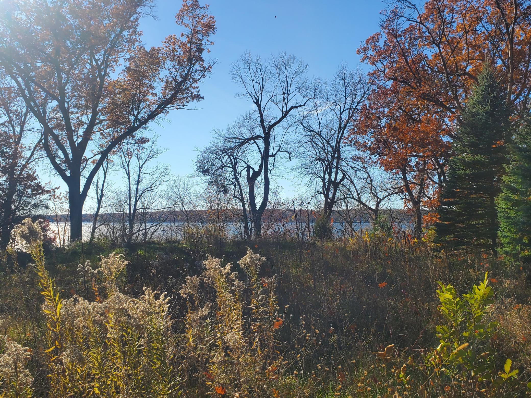 Homes for sale in Star Prairie, WI | Lot 3 E Cedar Lake Ct, Star Prairie, WI 54026 | MLS# 6812750