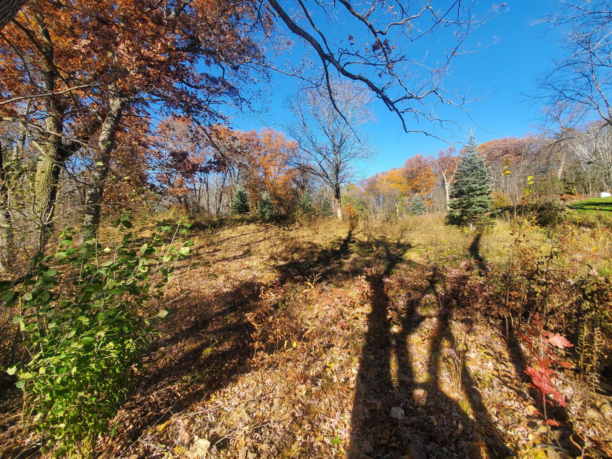 Homes for sale in Star Prairie, WI | Lot 3 E Cedar Lake Ct, Star Prairie, WI 54026 | MLS# 6812750