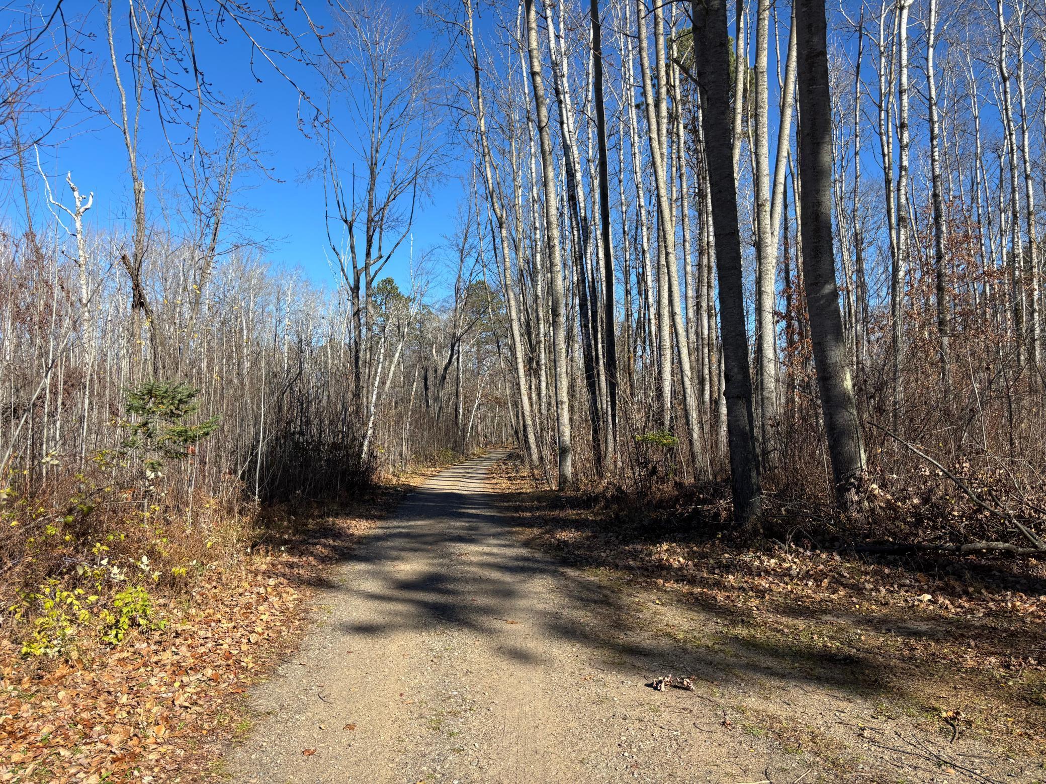 Homes for sale in Mc Gregor, MN | 18043 476th Ln, Mc Gregor, MN 55760 | MLS# 6813228