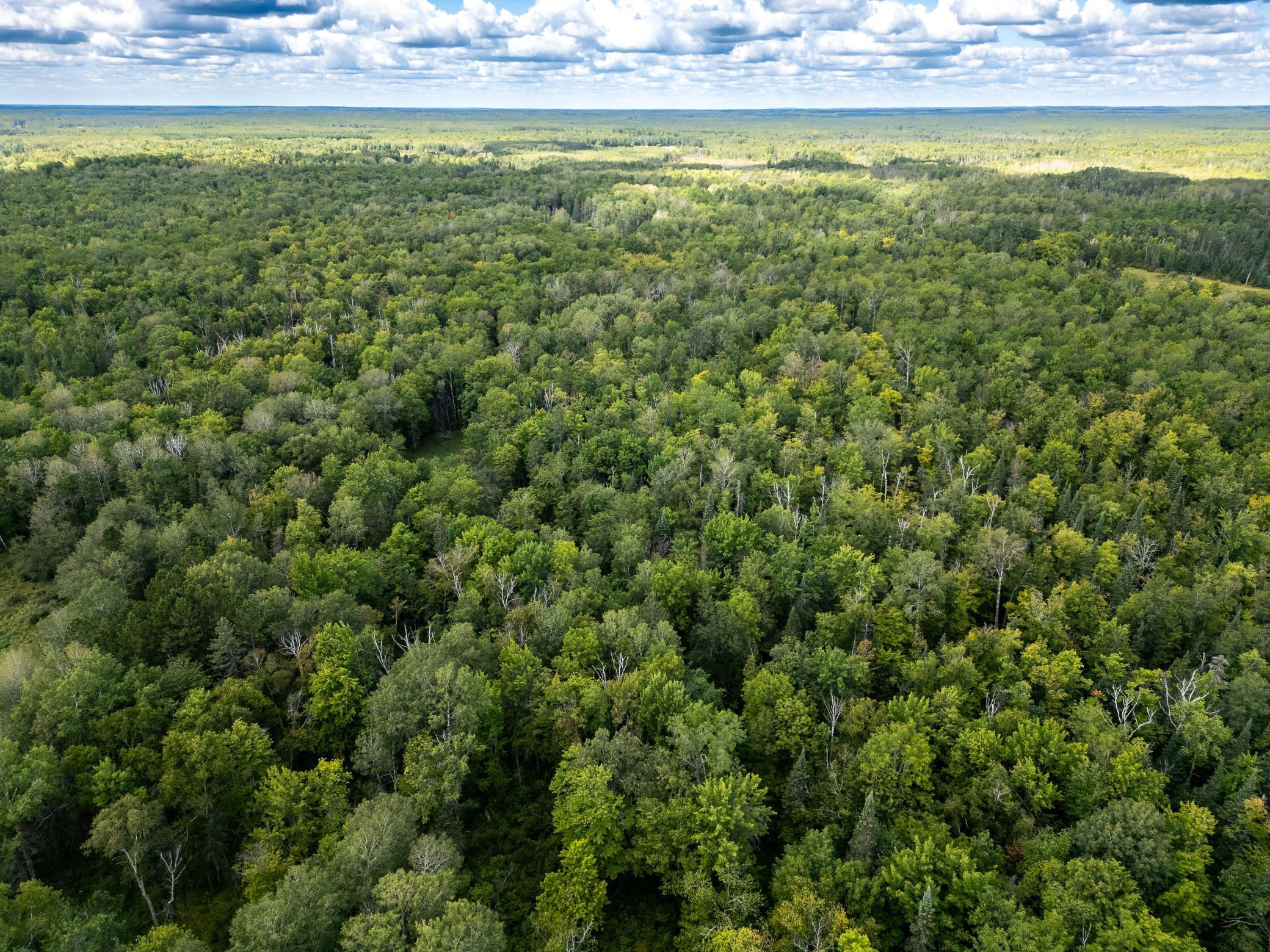 Homes for sale in Tamarack, MN | 48029 110th Pl, Tamarack, MN 55787 | MLS# 6813941