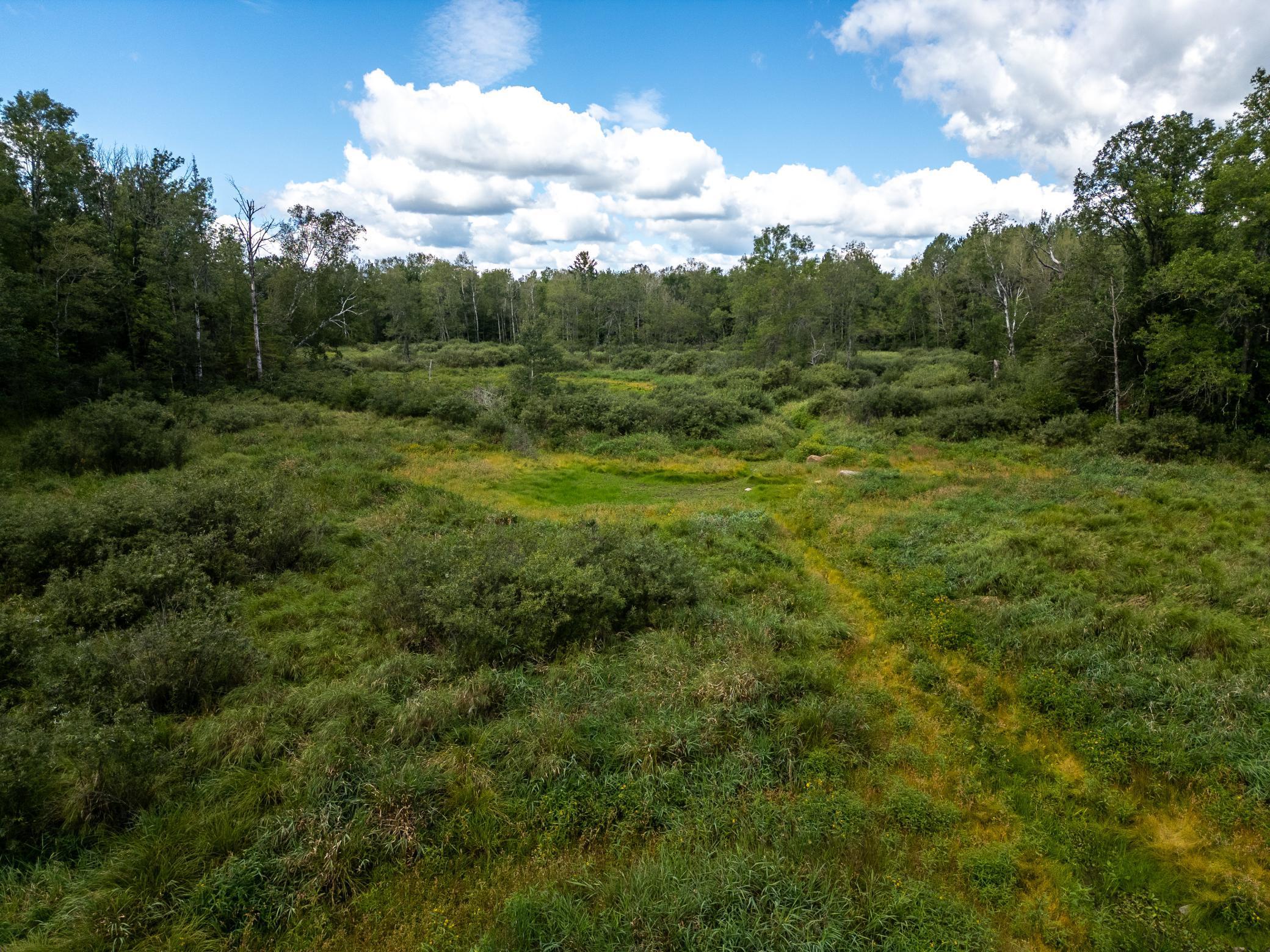 Homes for sale in Tamarack, MN | 48029 110Th Pl, Tamarack, MN 55787 | MLS# 6813941