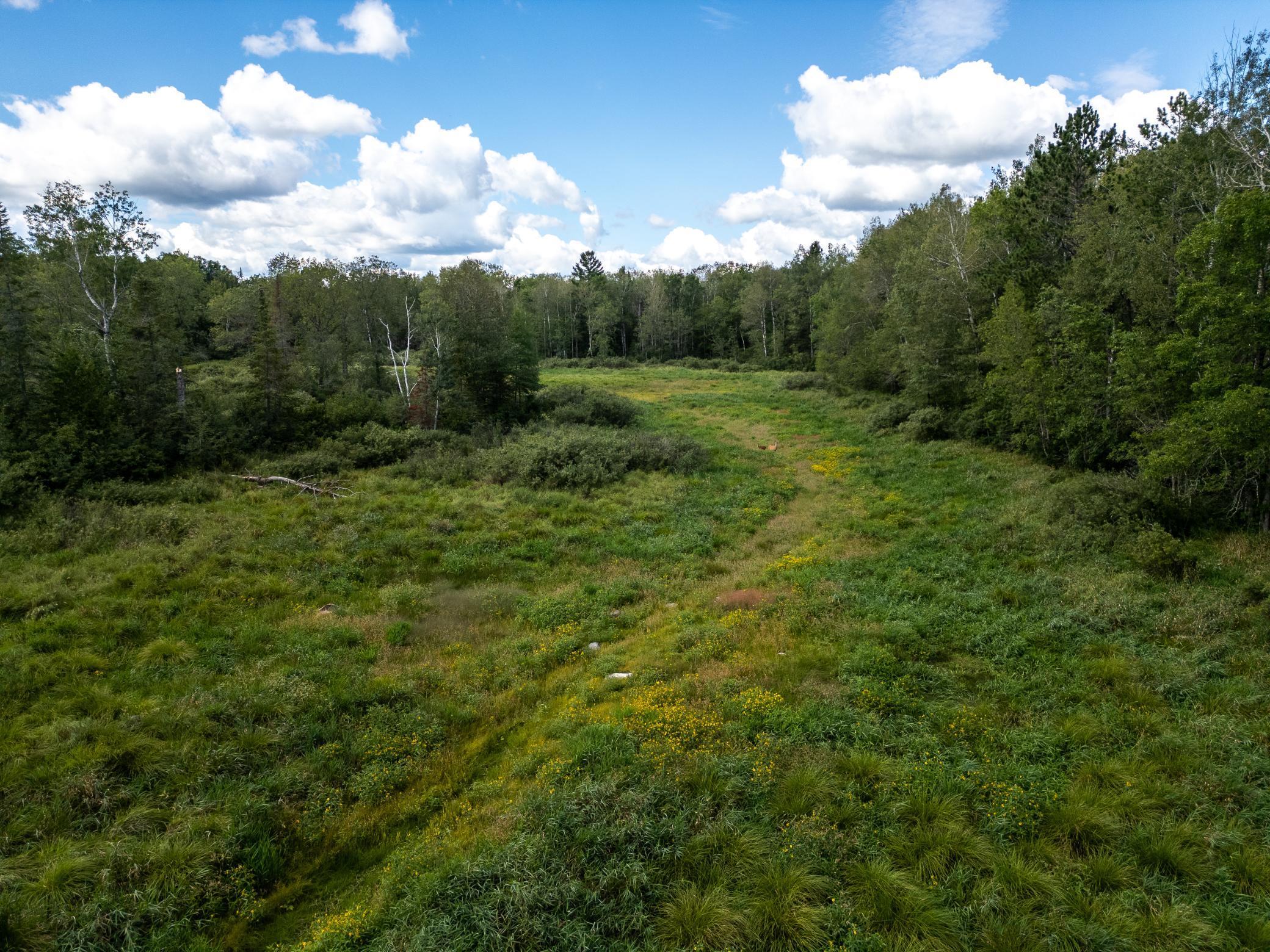 Homes for sale in Tamarack, MN | 48029 110Th Pl, Tamarack, MN 55787 | MLS# 6813941