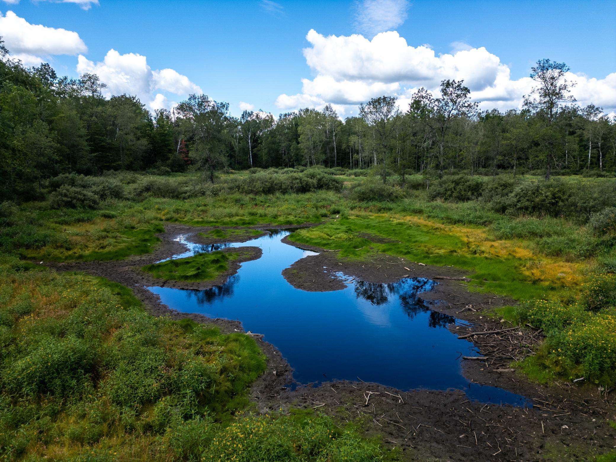 Homes for sale in Tamarack, MN | 48029 110Th Pl, Tamarack, MN 55787 | MLS# 6813941