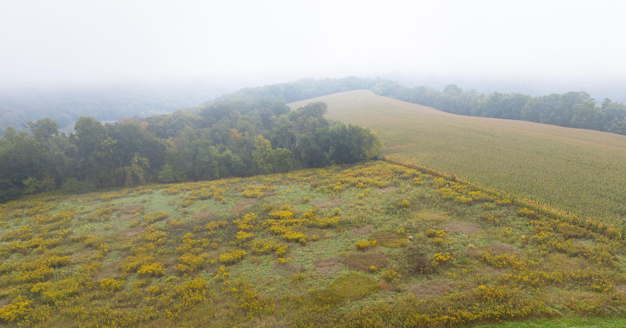 Homes for sale in Pepin, WI | Tbd Goat Back Road, Pepin, WI 54759 | MLS# 6813960