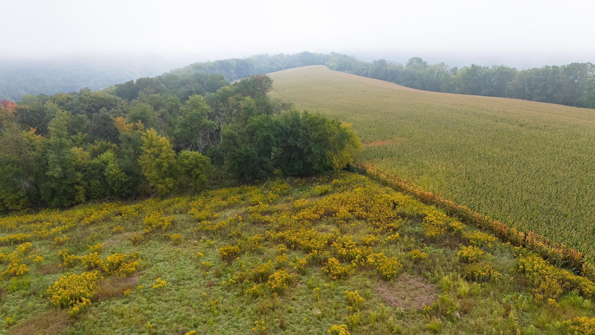 Homes for sale in Pepin, WI | Tbd Goat Back Road, Pepin, WI 54759 | MLS# 6813960