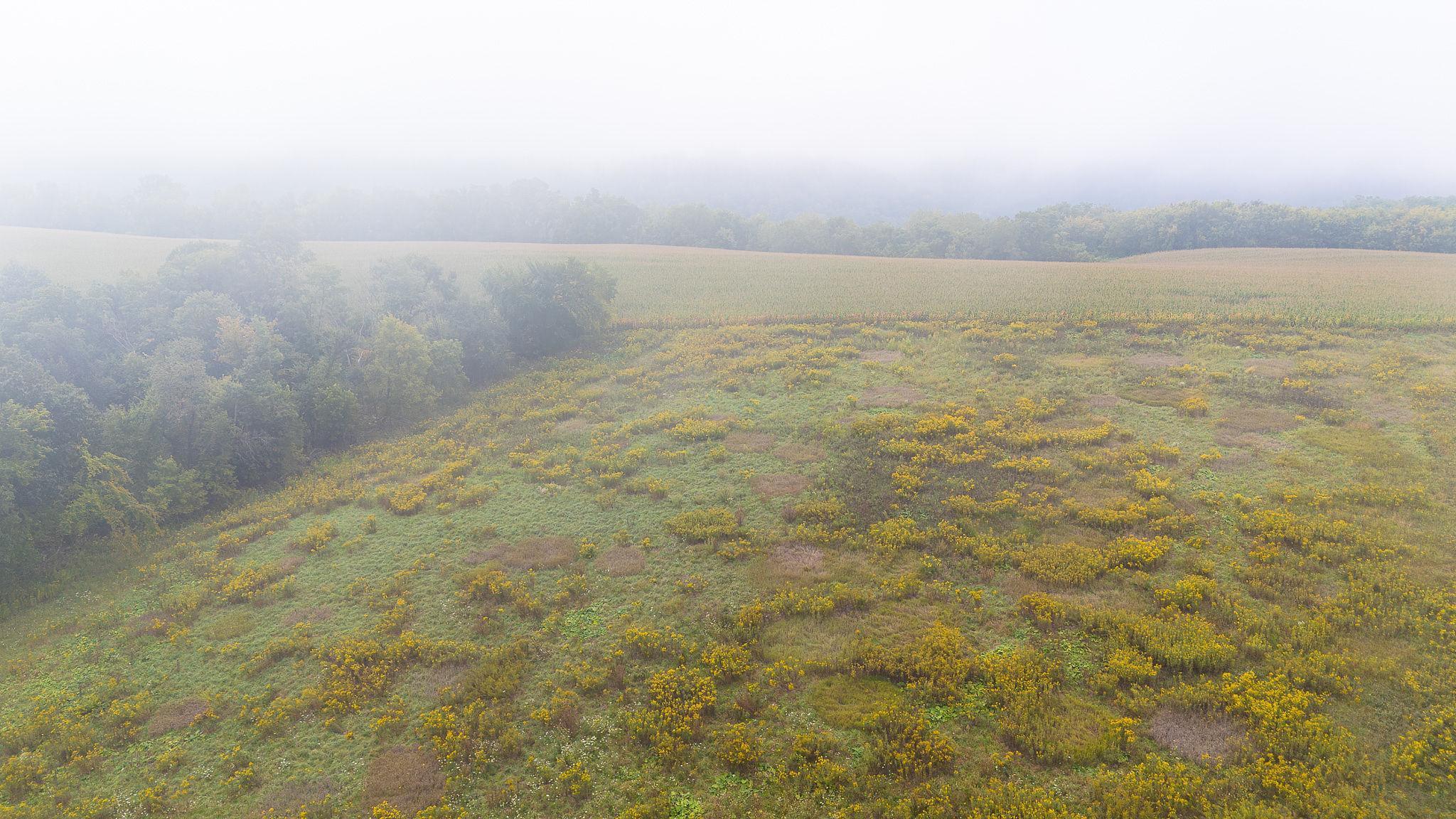 Homes for sale in Pepin, WI | Tbd Goat Back Road, Pepin, WI 54759 | MLS# 6813960