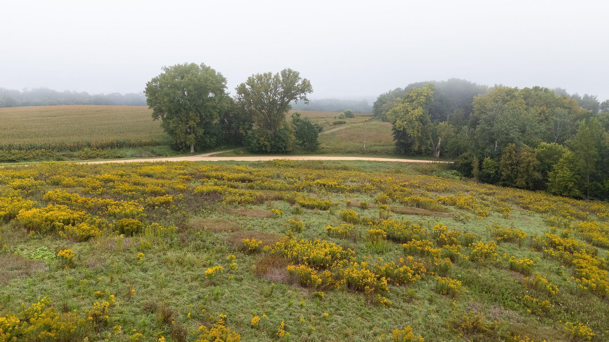 Homes for sale in Pepin, WI | Tbd (Lot 2) Goat Back Road, Pepin, WI 54759 | MLS# 6813972