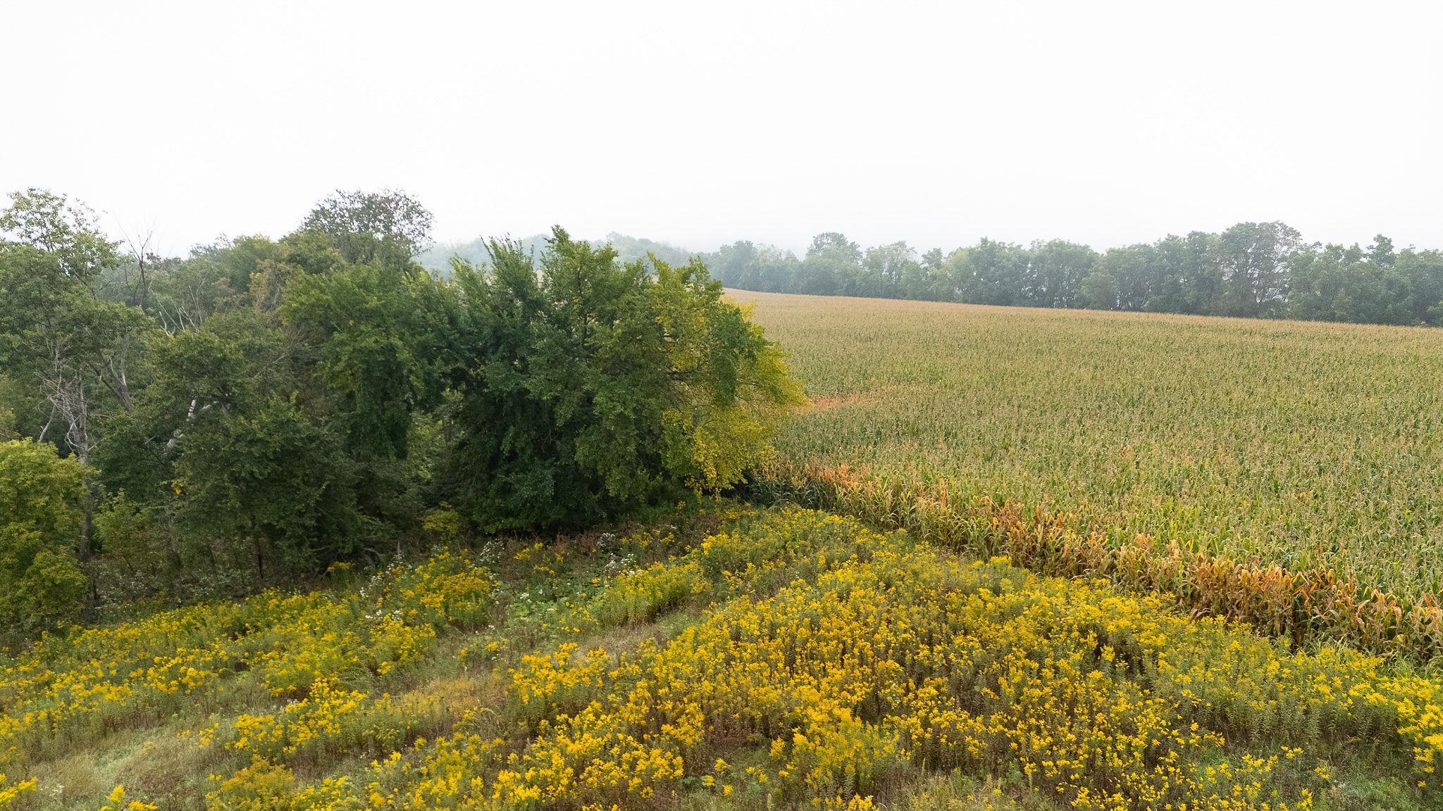 Homes for sale in Pepin, WI | Tbd (lot 2) Goat Back Road, Pepin, WI 54759 | MLS# 6813972