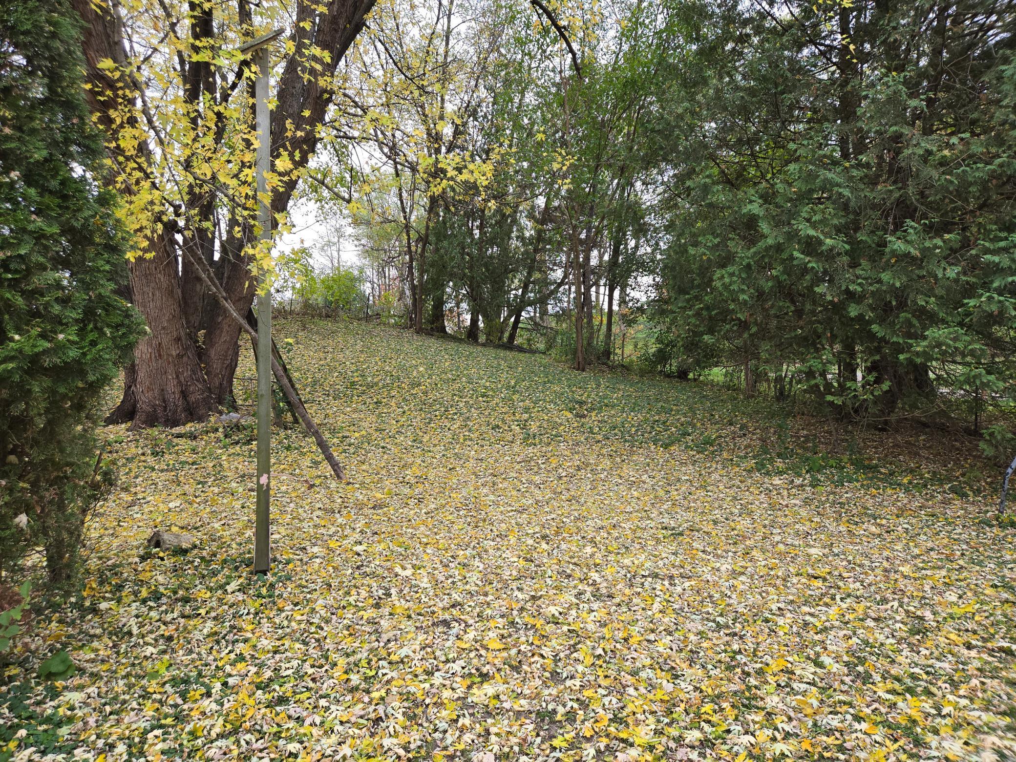 Homes for sale in Buffalo City, WI | S3575 County Road P, Buffalo City, WI 54629 | MLS# 6815370