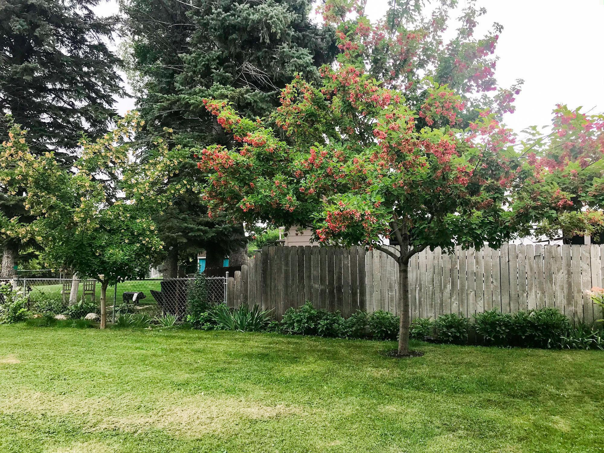 Homes for sale in Valley City, ND | 515 3rd St Se, Valley City, ND 58072 | MLS# 6815706