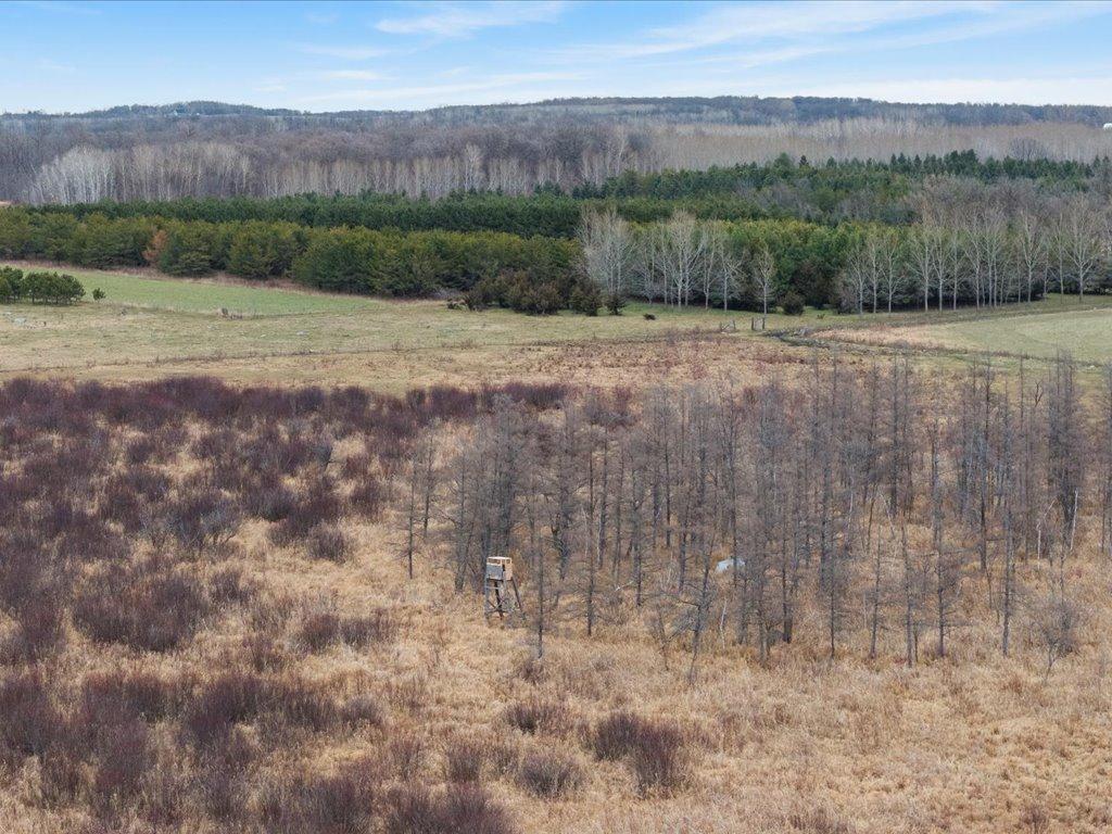 Homes for sale in Long Prairie, MN | 27075 221st Ave, Long Prairie, MN 56347 | MLS# 6815750