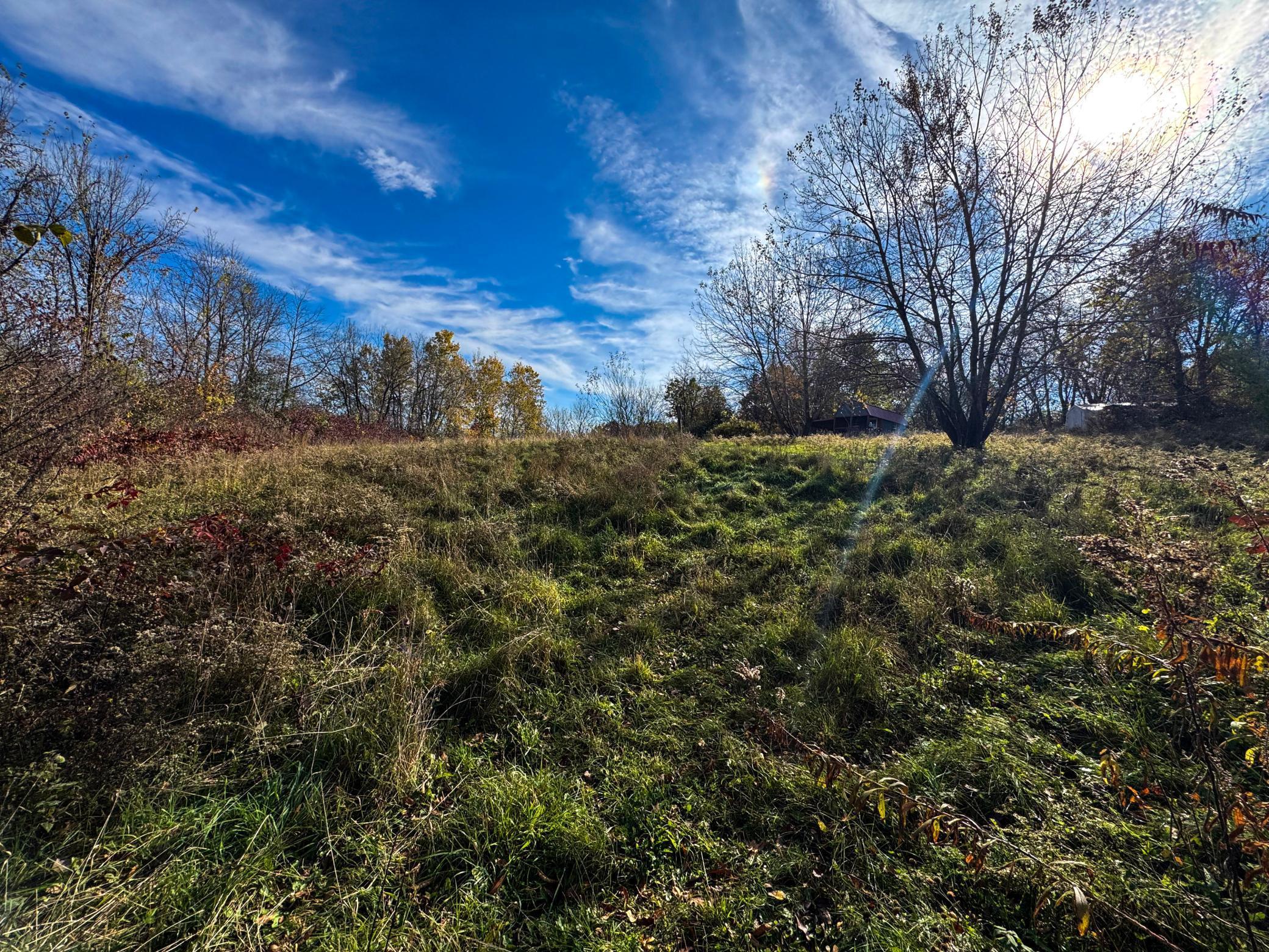 Homes for sale in Buffalo City, WI | S3399 County Road P, Buffalo City, WI 54629 | MLS# 6816002