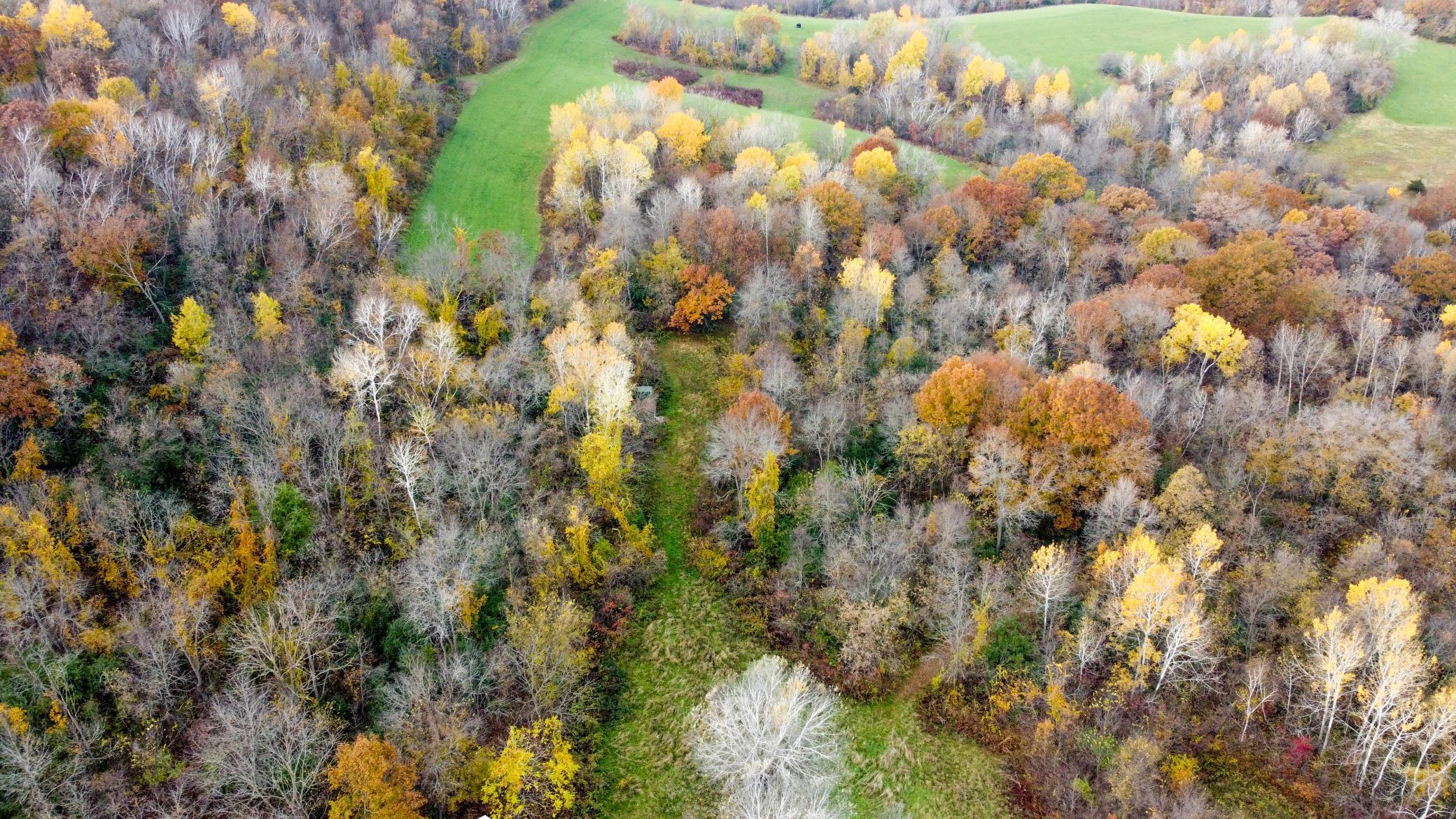 Homes for sale in Buffalo City, WI | S3399 County Road P, Buffalo City, WI 54629 | MLS# 6816002