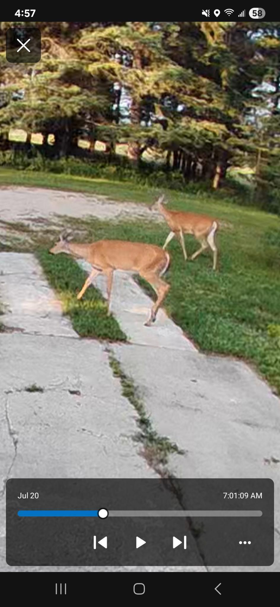 Homes for sale in Park Rapids, MN | 20853 185th Ave, Park Rapids, MN 56470 | MLS# 6816053