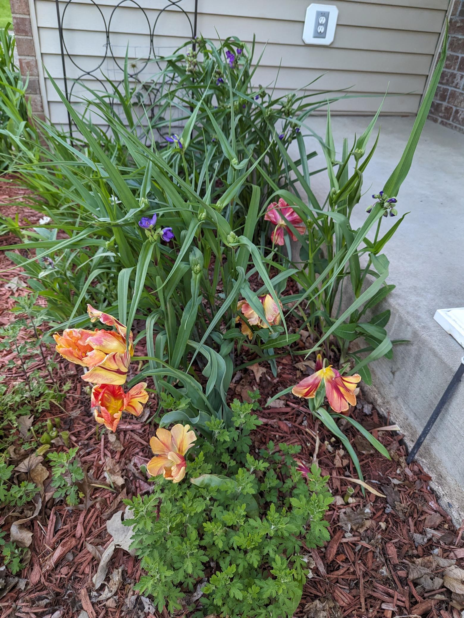 Homes for sale in Woodbury, MN | 3913 Oxford Dr, Woodbury, MN 55125 | MLS# 6816606