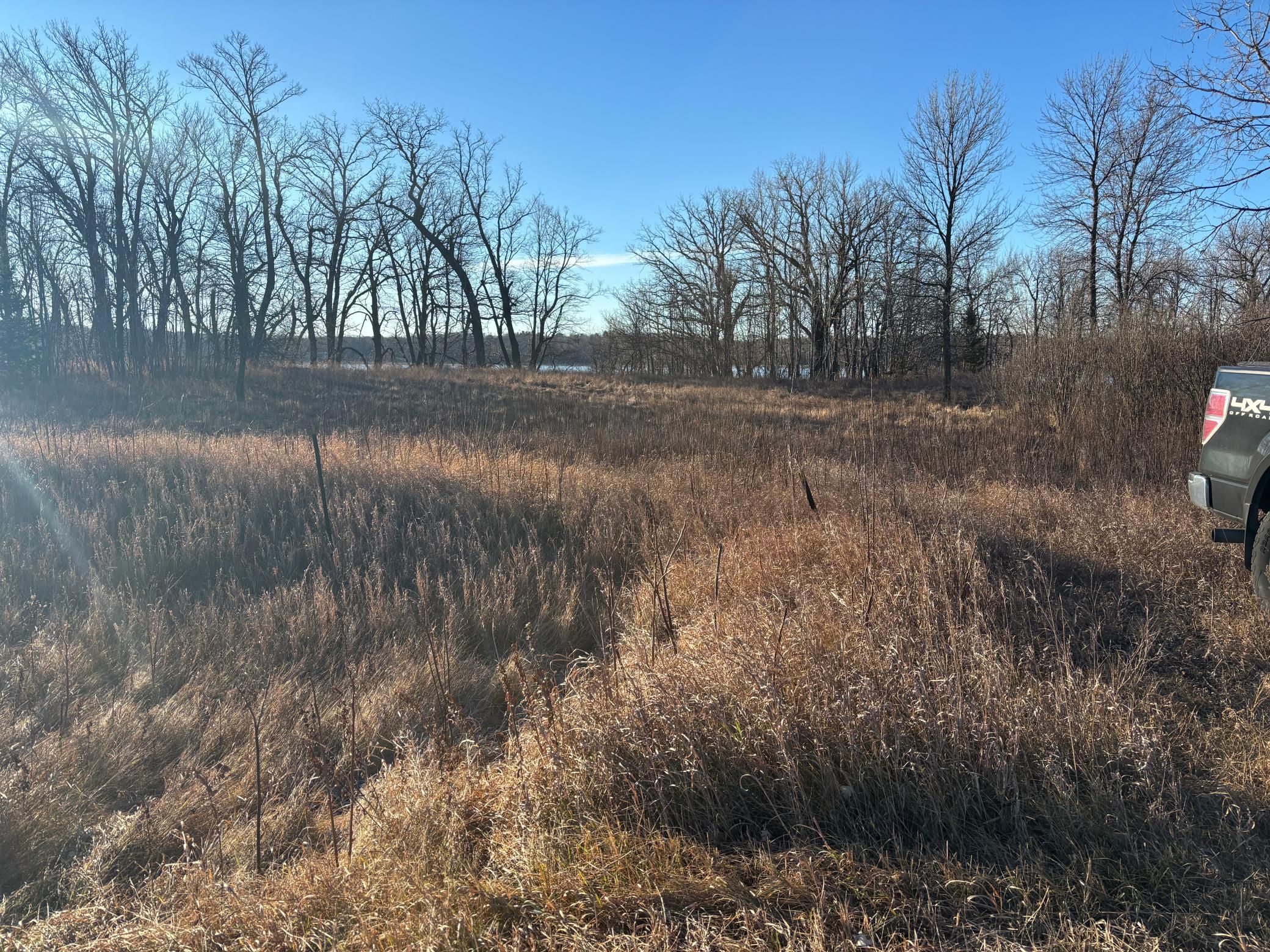 4th image of Tbd Leaf River Road, Ottertail, MN 56571 | MLS# 6816900