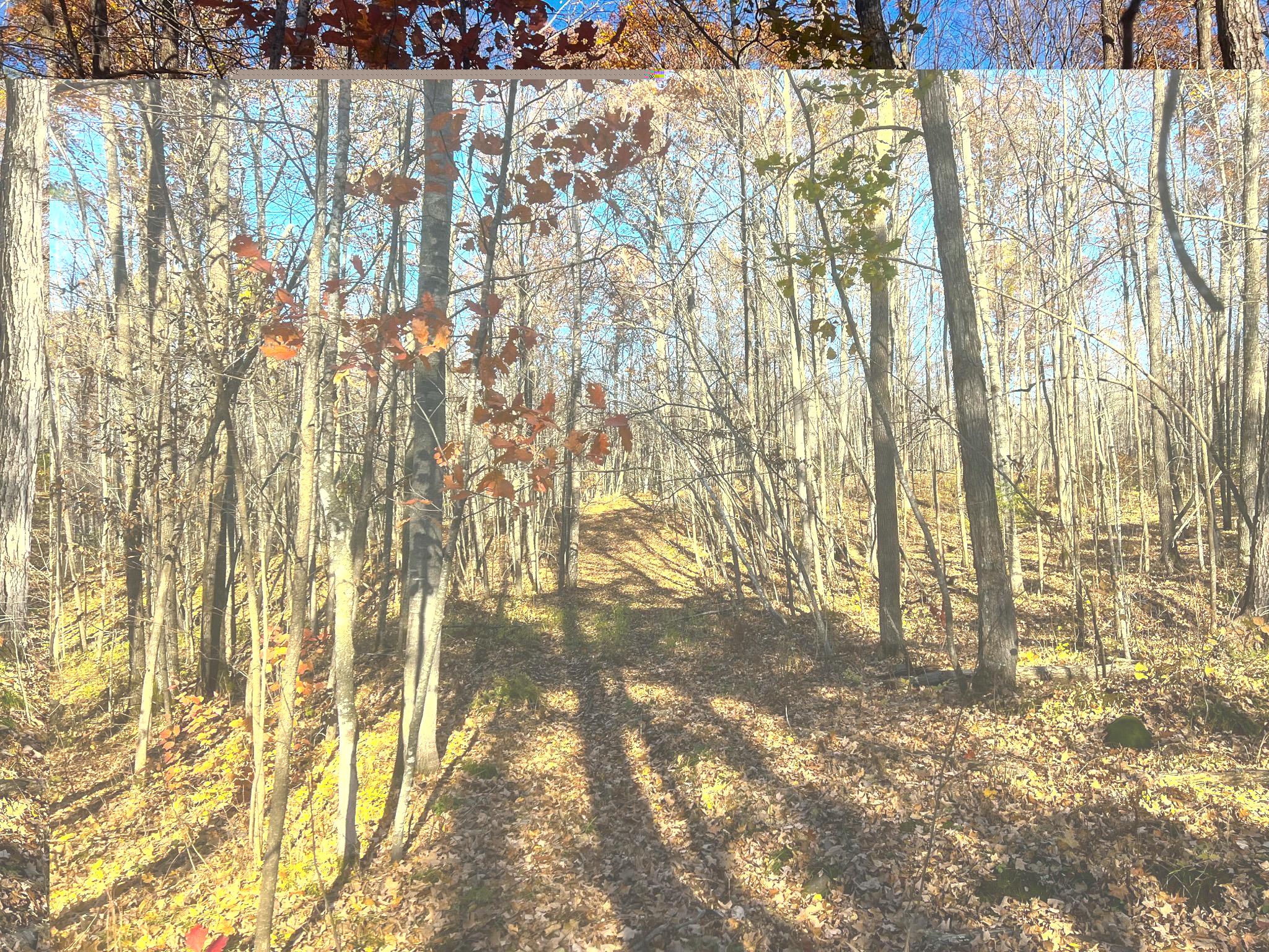 Homes for sale in Birchwood, WI | Lot 6 Breakneck Rd, Birchwood, WI 54817 | MLS# 6818006