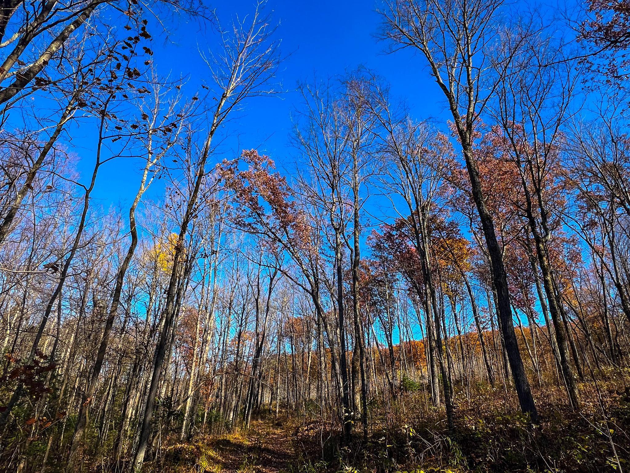 Homes for sale in Birchwood, WI | Lot 7 & 8 Breakneck Rd, Birchwood, WI 54817 | MLS# 6818015