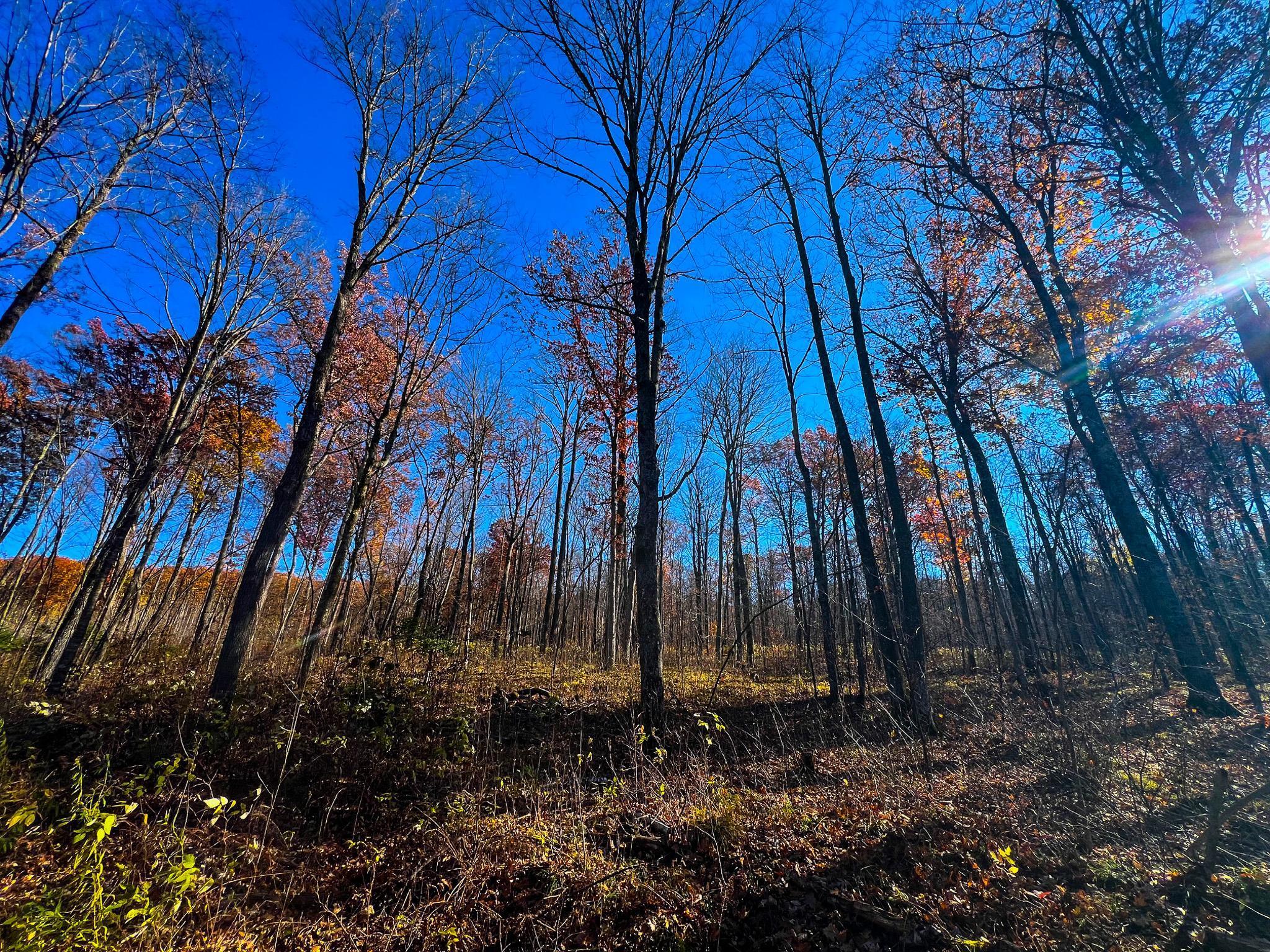 Homes for sale in Birchwood, WI | Lot 7 & 8 Breakneck Rd, Birchwood, WI 54817 | MLS# 6818015