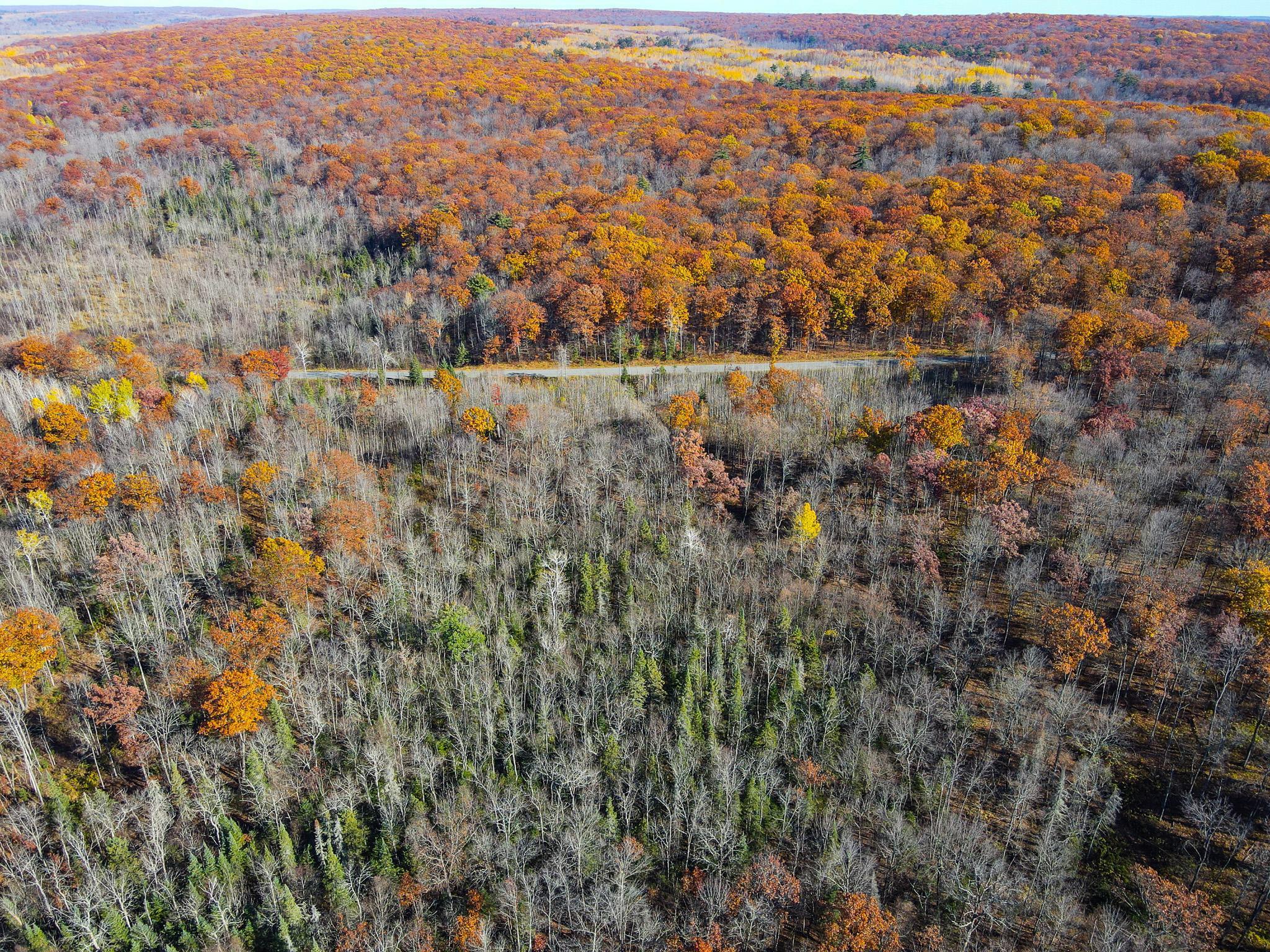 Homes for sale in Birchwood, WI | Lot 7 & 8 Breakneck Rd, Birchwood, WI 54817 | MLS# 6818015