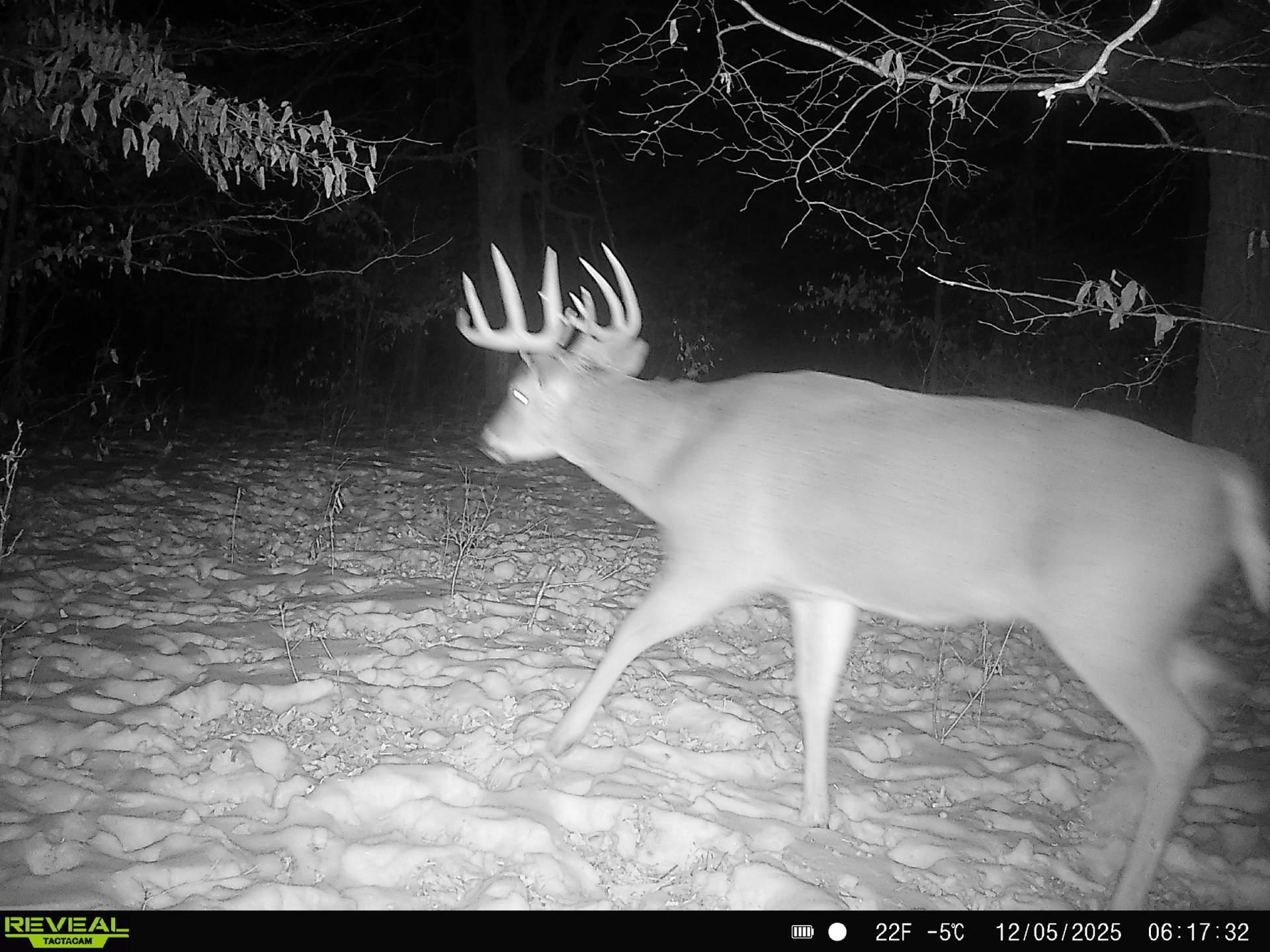 Homes for sale in Red Eye Twp, MN | Tbd 294th St, Red Eye Twp, MN 56477 | MLS# 6819871