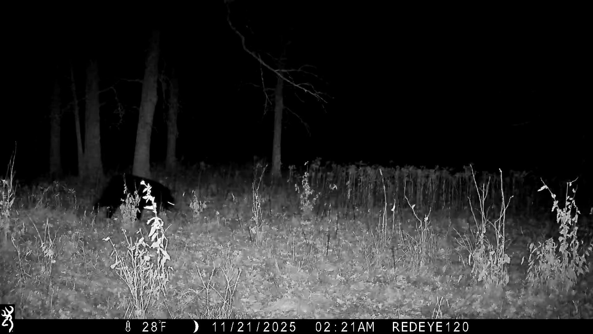 Homes for sale in Red Eye Twp, MN | Tbd 294th St, Red Eye Twp, MN 56477 | MLS# 6819871