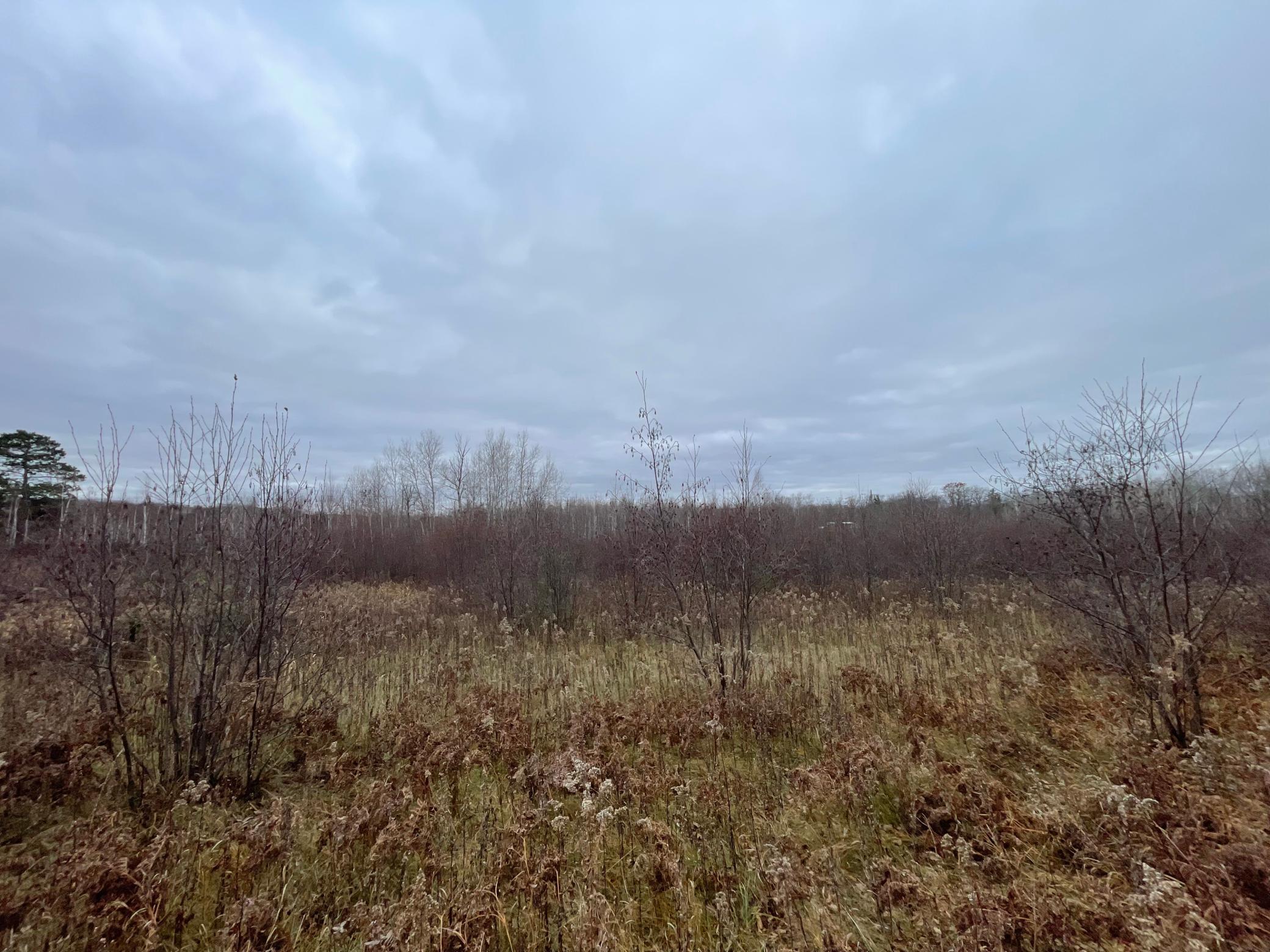 Homes for sale in Hinckley, MN | Tbd (parcel C) Olson Rd, Hinckley, MN 55037 | MLS# 6820983