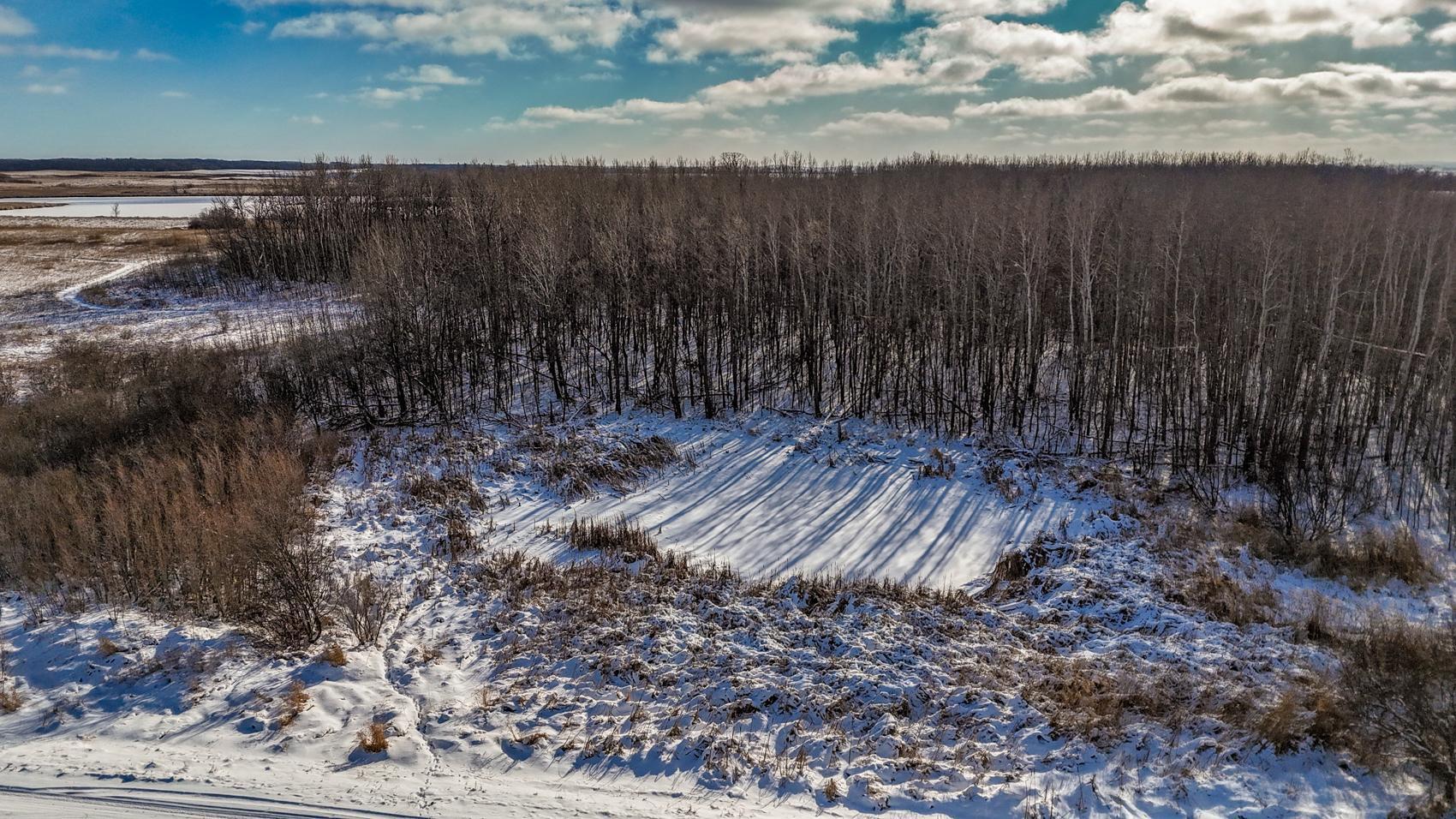 Homes for sale in Callaway, MN | Tbd 240th Ave, Callaway, MN 56521 | MLS# 6822828