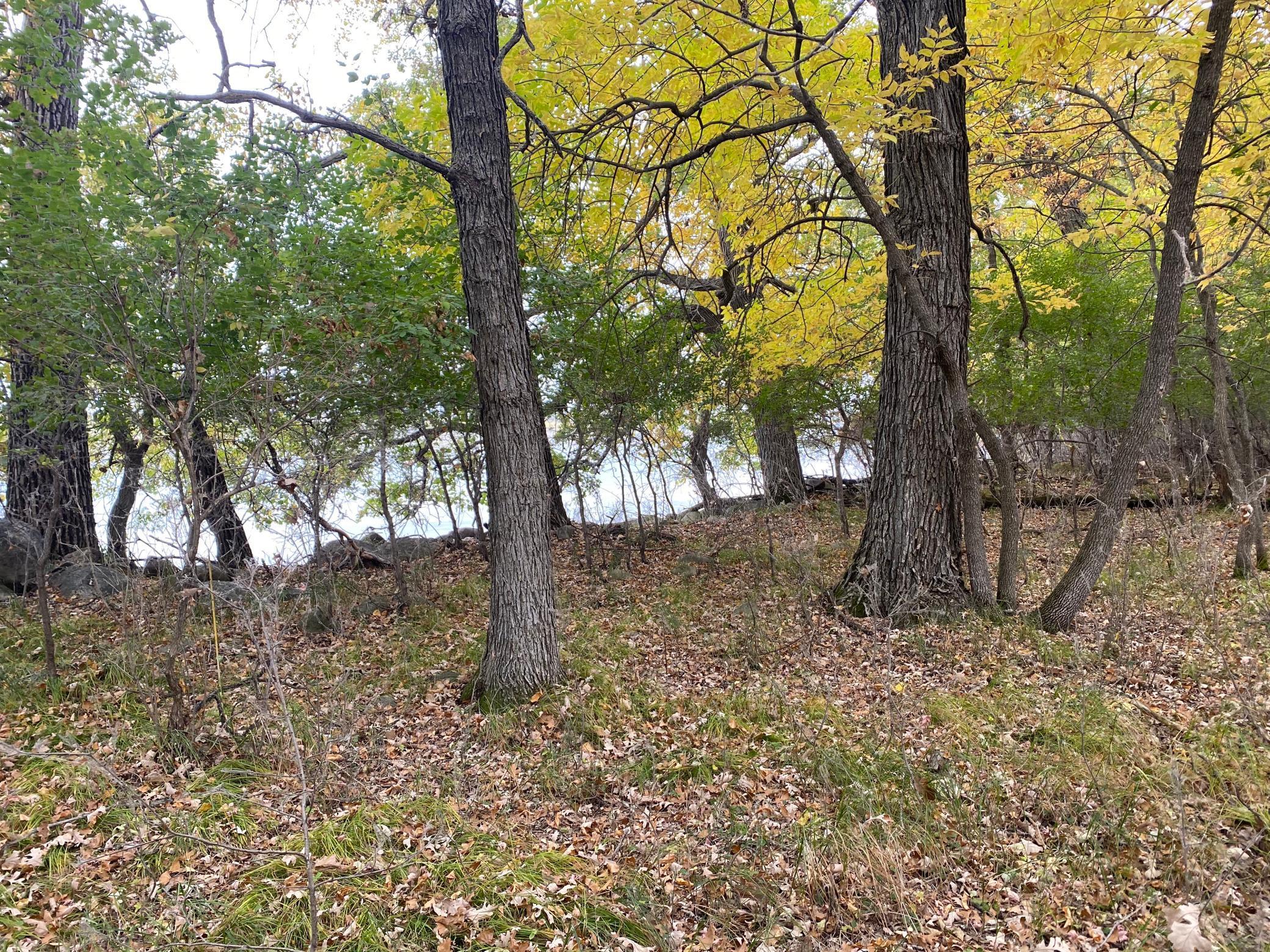 Homes for sale in Big Stone City, SD | Lot 40 Lakota Island, Big Stone City, SD 57216 | MLS# 6824261