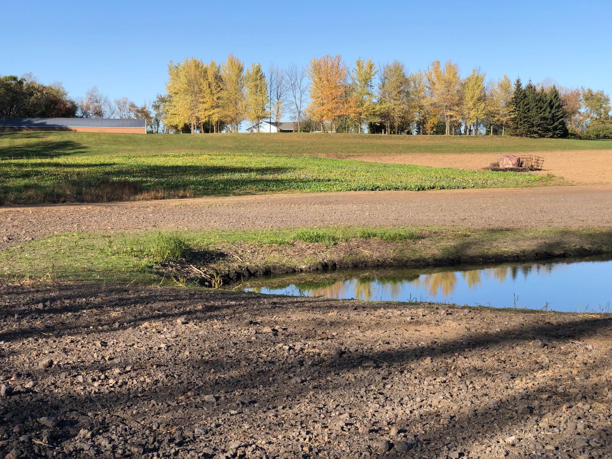 Homes for sale in Webster, MN | Xxxx 280th St E, Webster, MN 55088 | MLS# 6824311