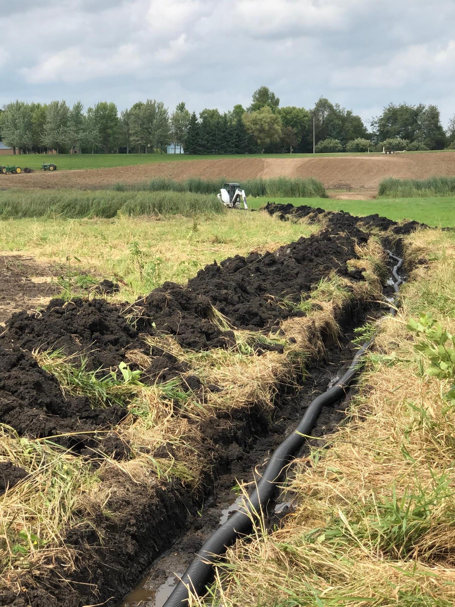 Homes for sale in Webster, MN | Xxxx 280Th St E, Webster, MN 55088 | MLS# 6824311