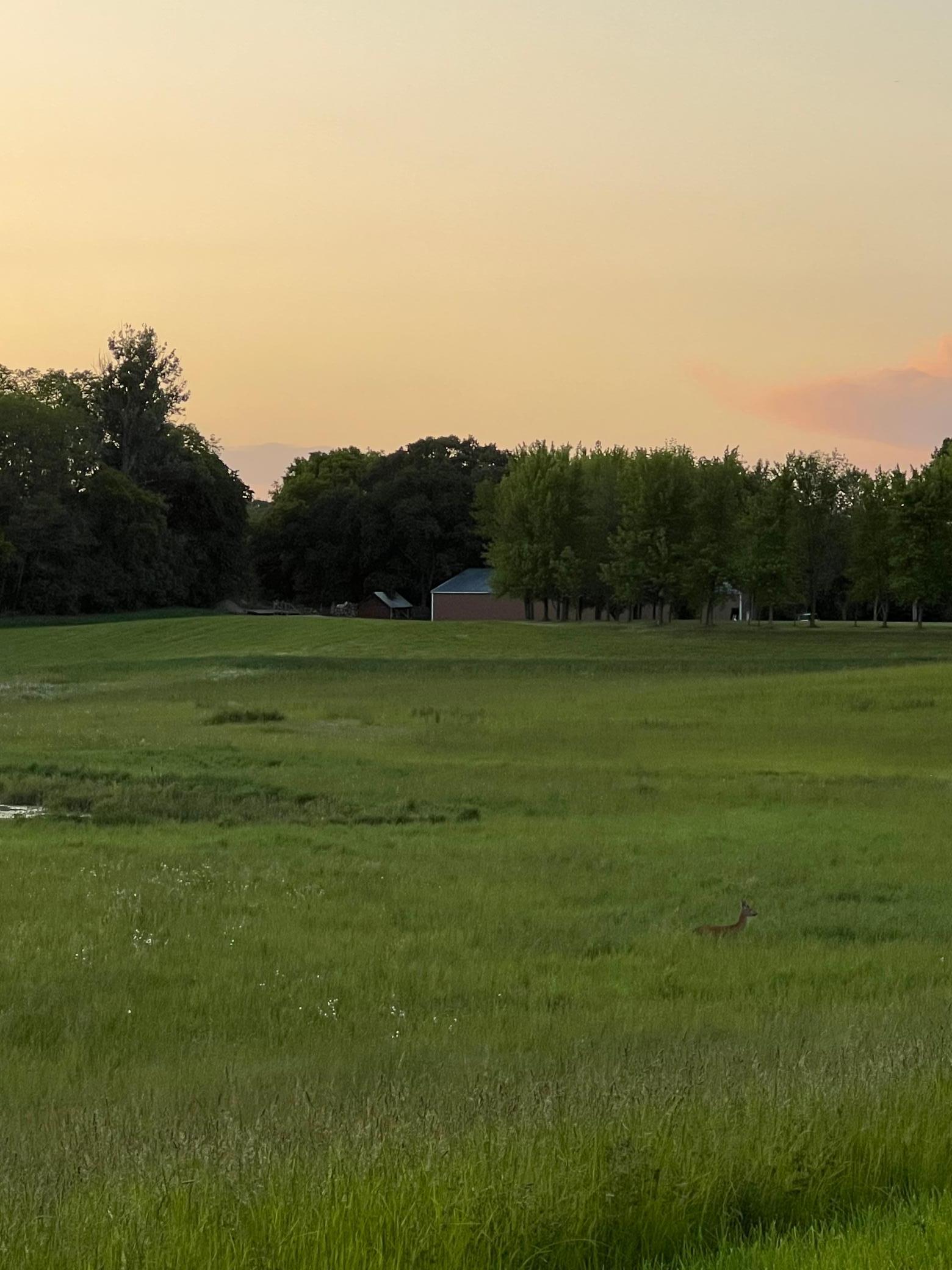 Homes for sale in Webster, MN | Xxxx 280Th St E, Webster, MN 55088 | MLS# 6824311