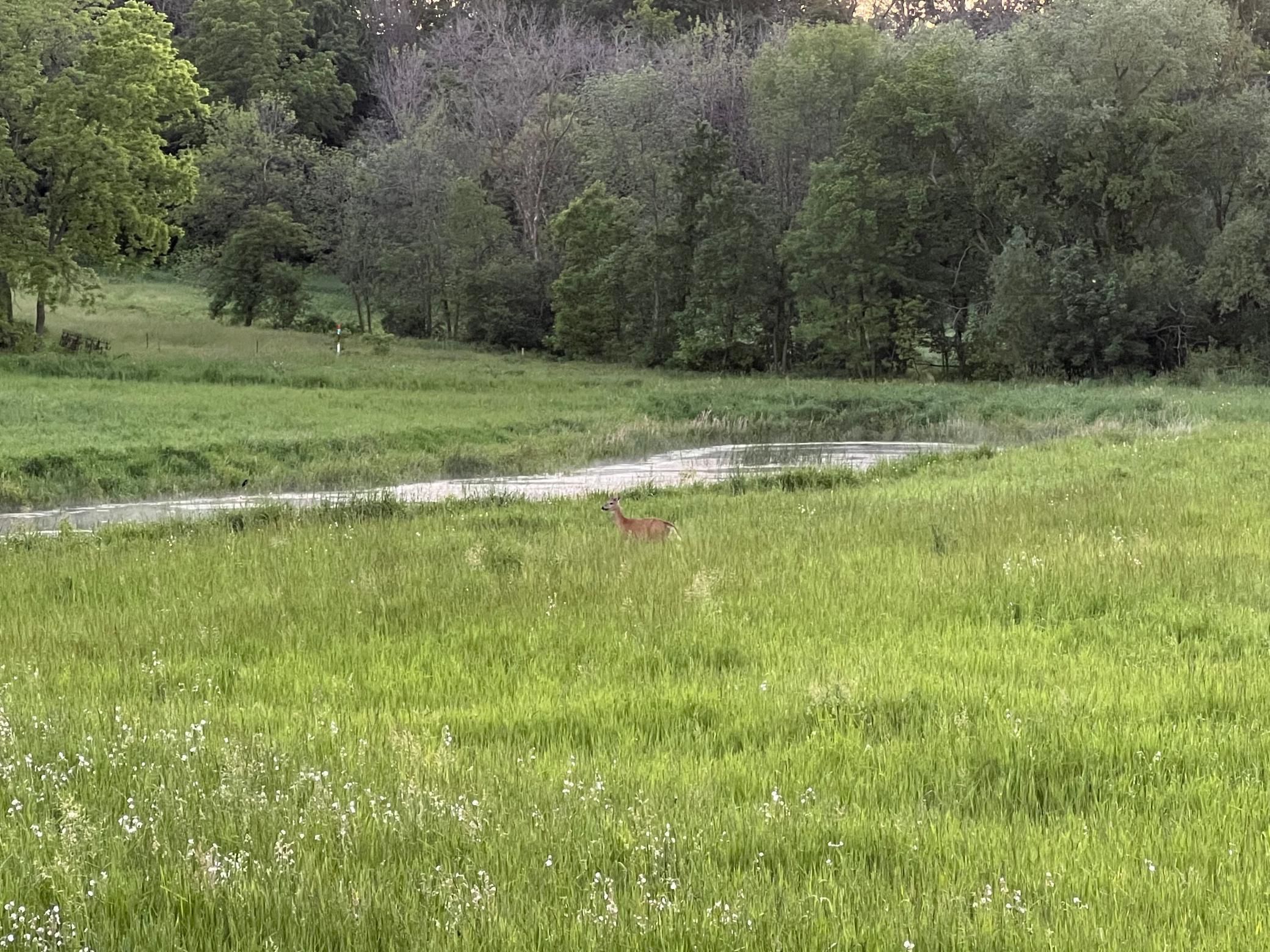 Homes for sale in Webster, MN | Xxxx 280th St E, Webster, MN 55088 | MLS# 6824311