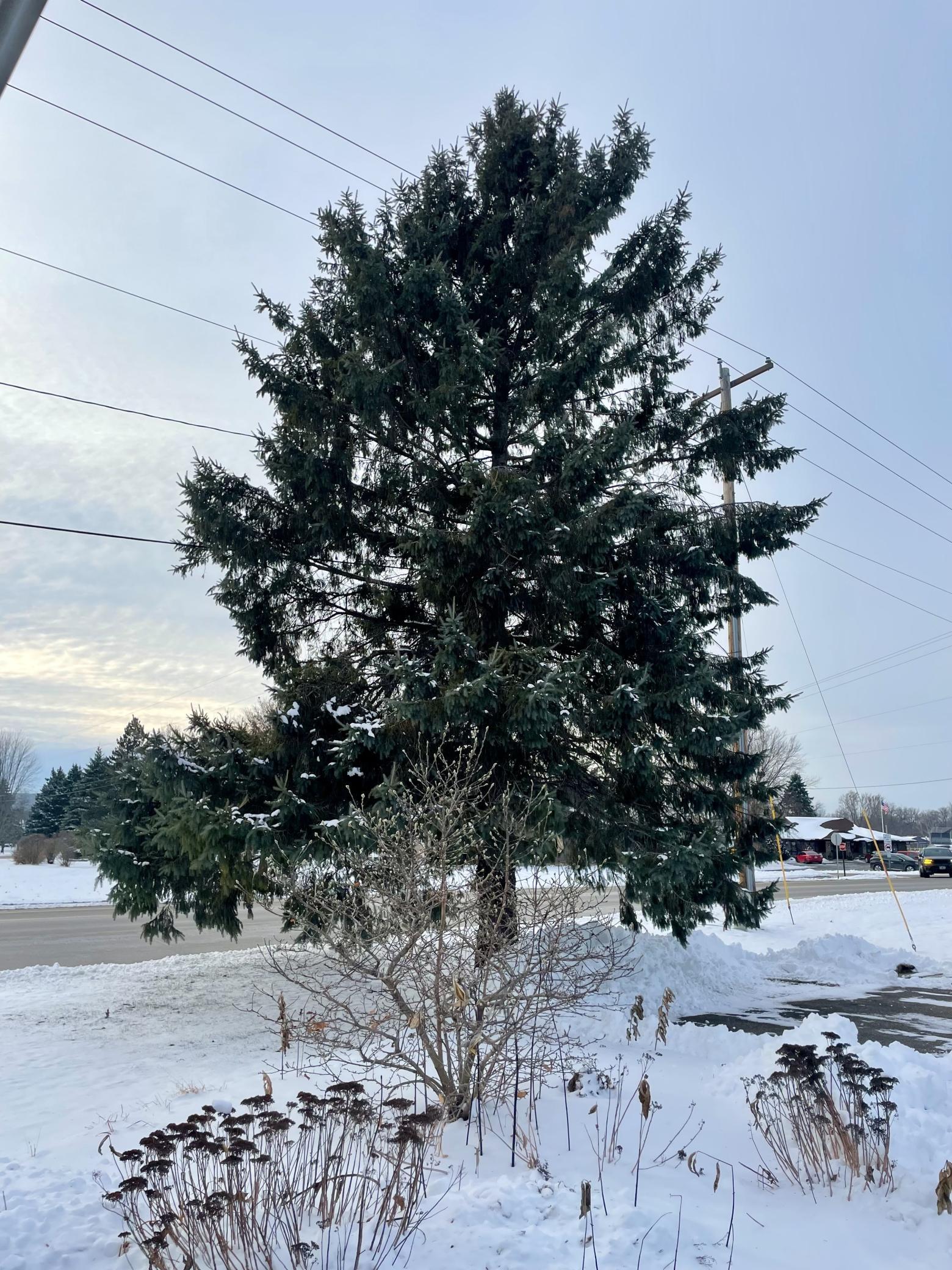 Homes for sale in Wabasha, MN | 100 Idle Hour Ct, Wabasha, MN 55981 | MLS# 6824401