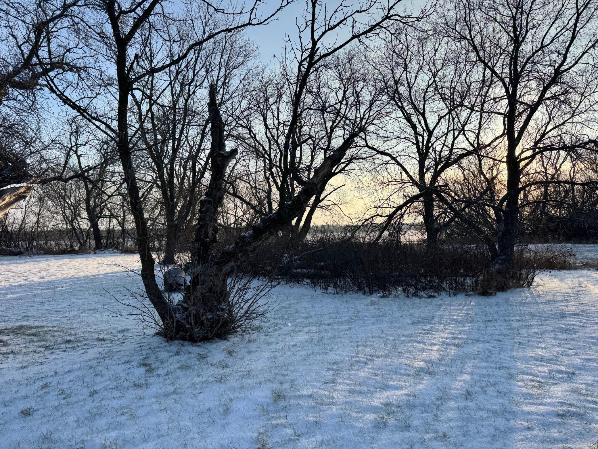 Homes for sale in Mickinock Twp, MN | 44028 220th St, Mickinock Twp, MN 56751 | MLS# 6824569