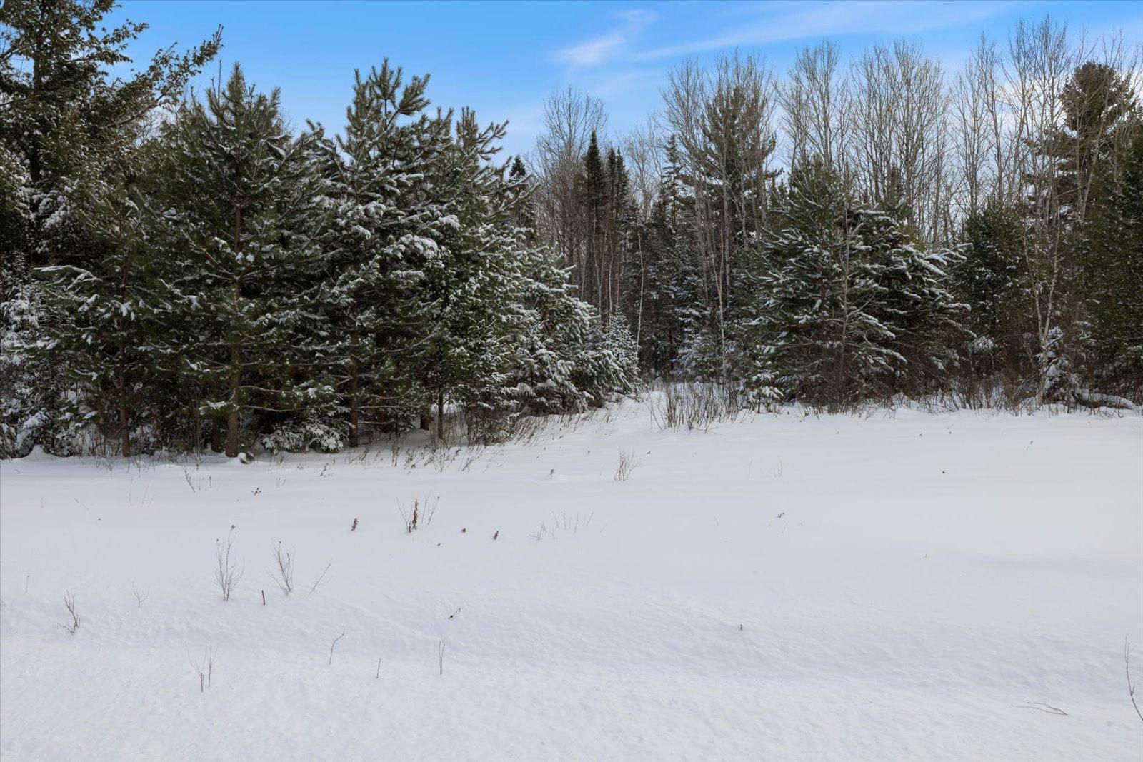 Homes for sale in Cromwell, MN | Tbd County Road 4, Cromwell, MN 55726 | MLS# 6824604
