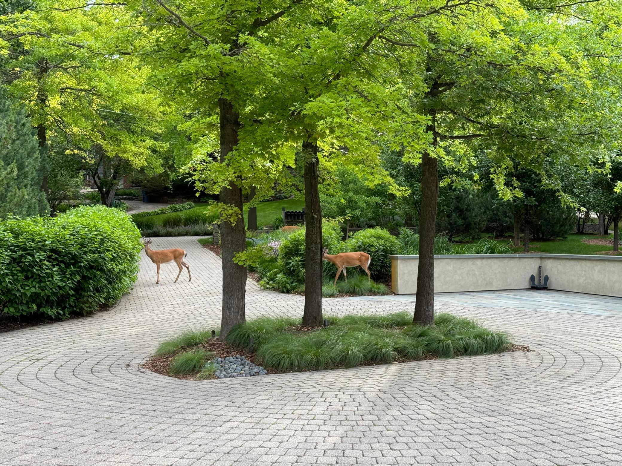 Homes for sale in Deephaven, MN | 20545 Linden Rd, Deephaven, MN 55331 | MLS# 6825229