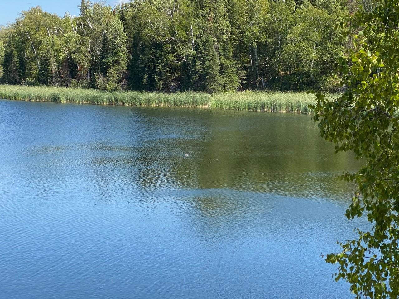 2nd image of 49954 209th Ave, Clearbrook, MN 56634 | MLS# 6826641
