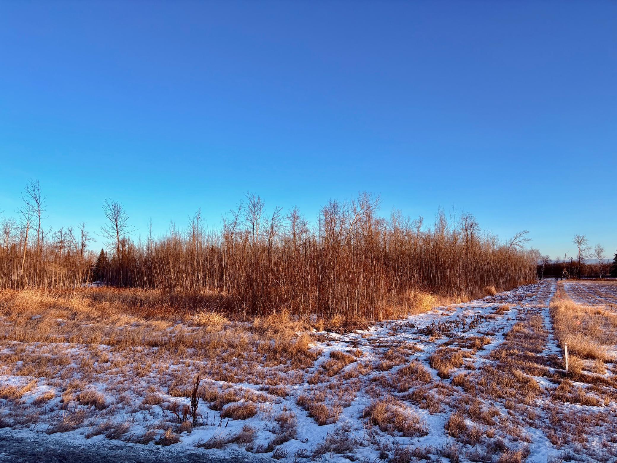 6th image of Tbd Hooper Creek Loop Nw, Baudette, MN 56623 | MLS# 7000406