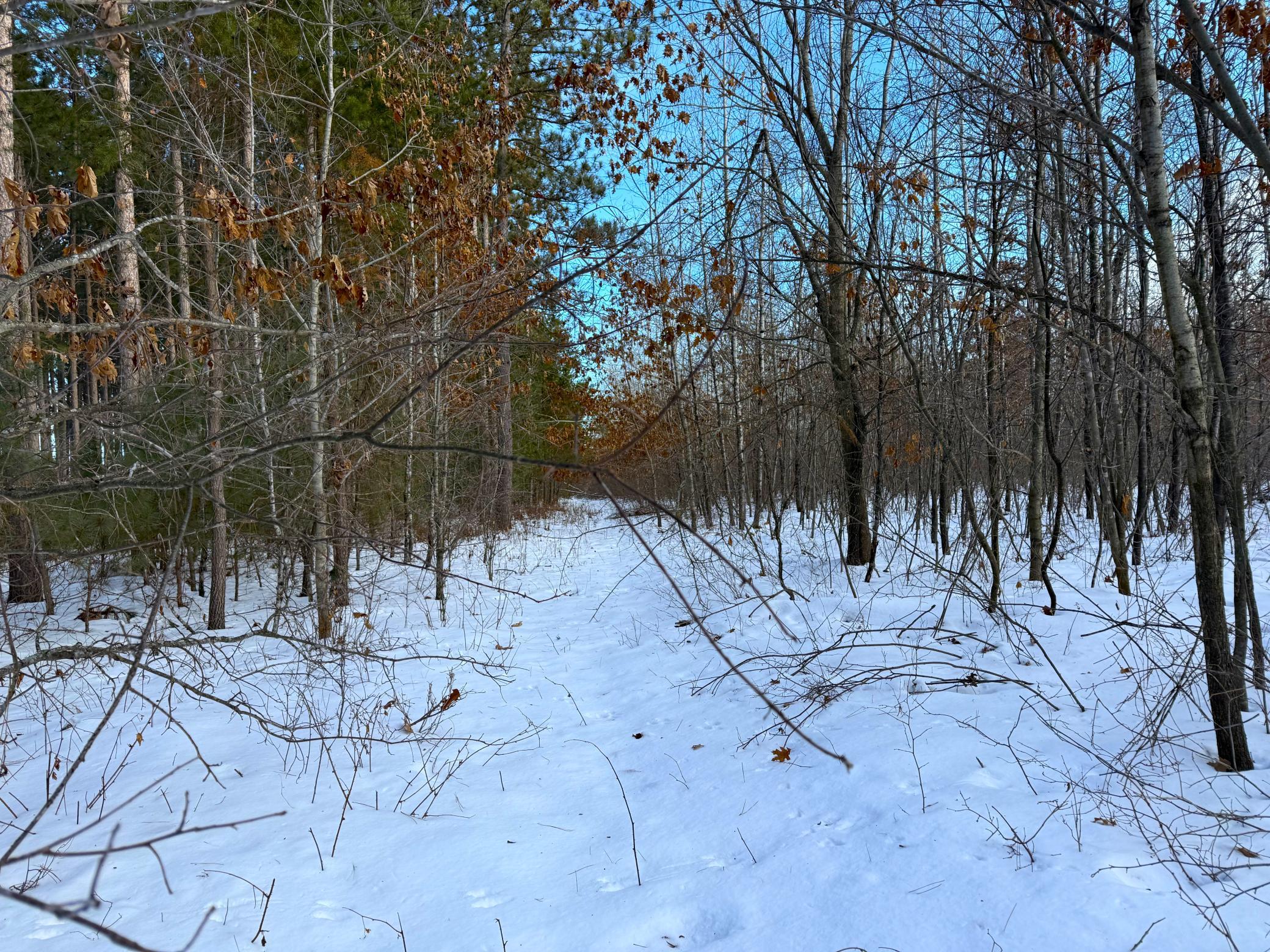 Homes for sale in Hinckley, MN | Tbd Sand River Rd, Hinckley, MN 55037 | MLS# 7001555