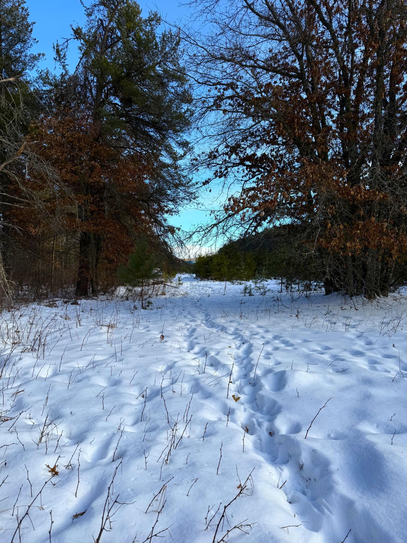 Homes for sale in Hinckley, MN | Tbd Sand River Rd, Hinckley, MN 55037 | MLS# 7001555