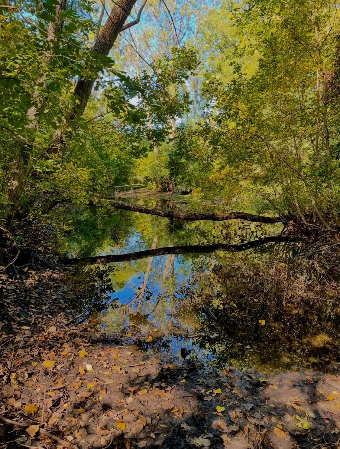 3rd image of Na Na, Albert Lea, MN 56007 | MLS# 7001734