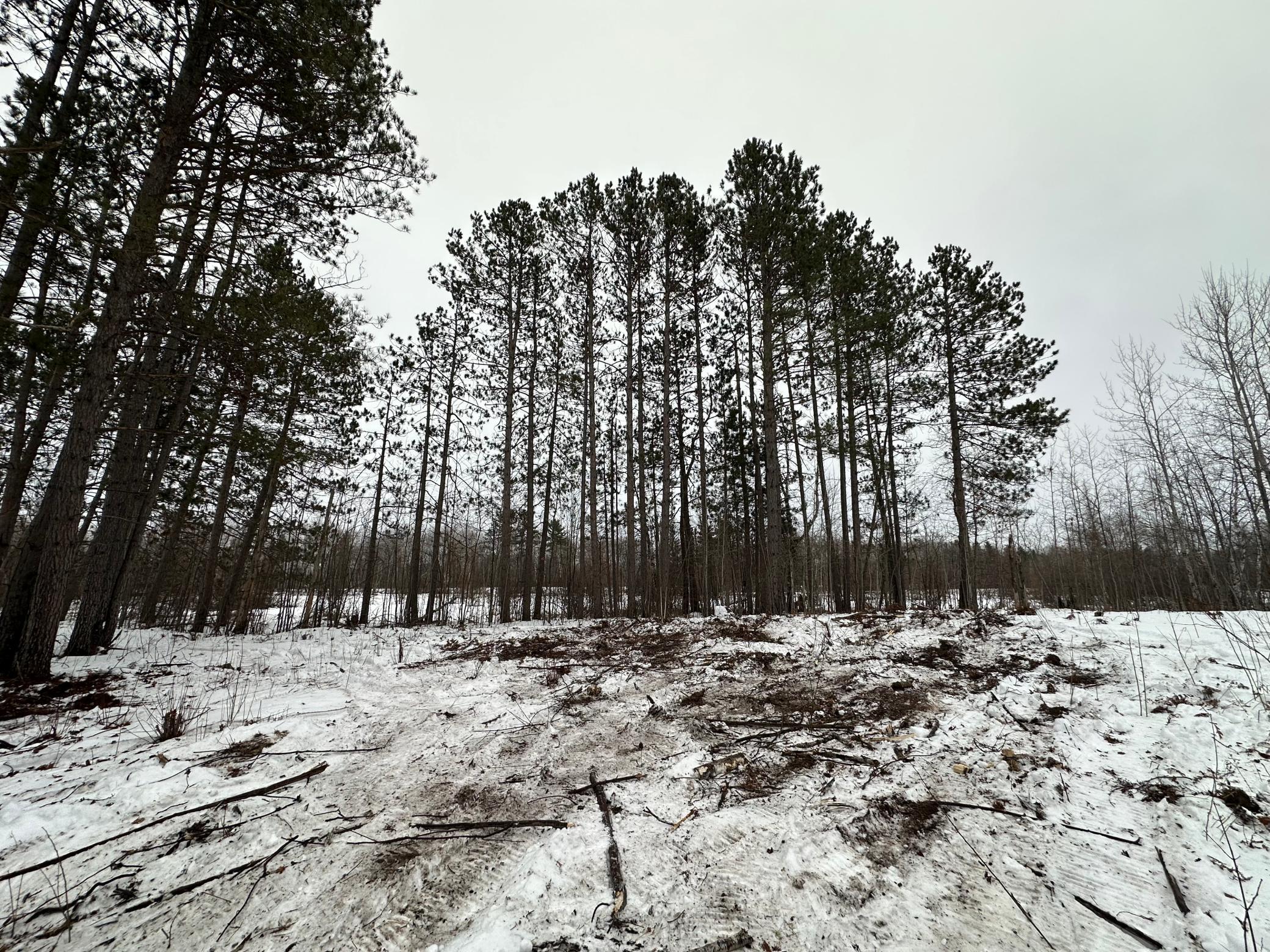 Homes for sale in Kerrick, MN | Tbd #1 Koecher Rd, Kerrick, MN 55756 | MLS# 7002694