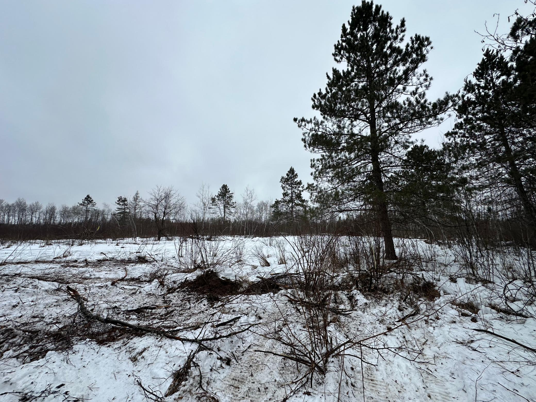 Homes for sale in Kerrick, MN | Tbd #3 Koecher Rd, Kerrick, MN 55756 | MLS# 7002698