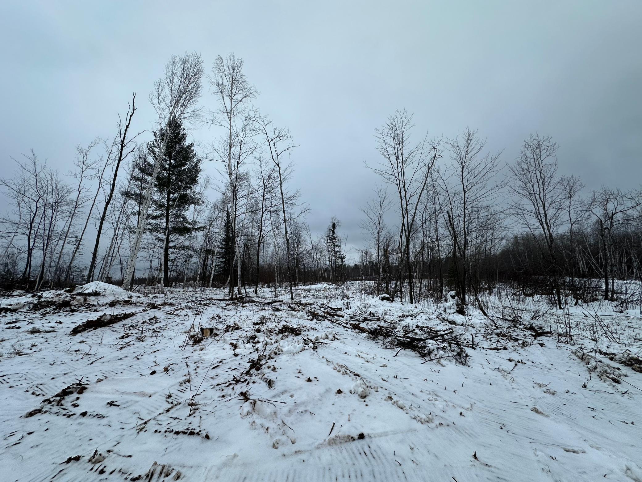 Homes for sale in Kerrick, MN | Tbd #3 Koecher Rd, Kerrick, MN 55756 | MLS# 7002698