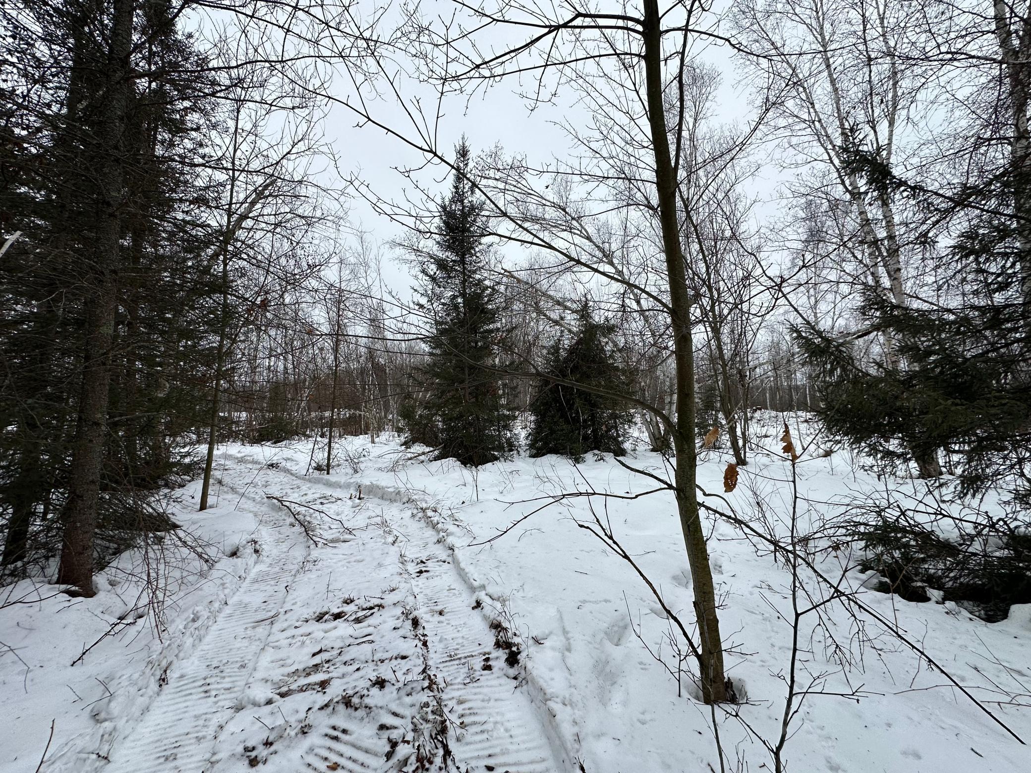 Homes for sale in Kerrick, MN | Tbd #4 Koecher Rd, Kerrick, MN 55756 | MLS# 7002700