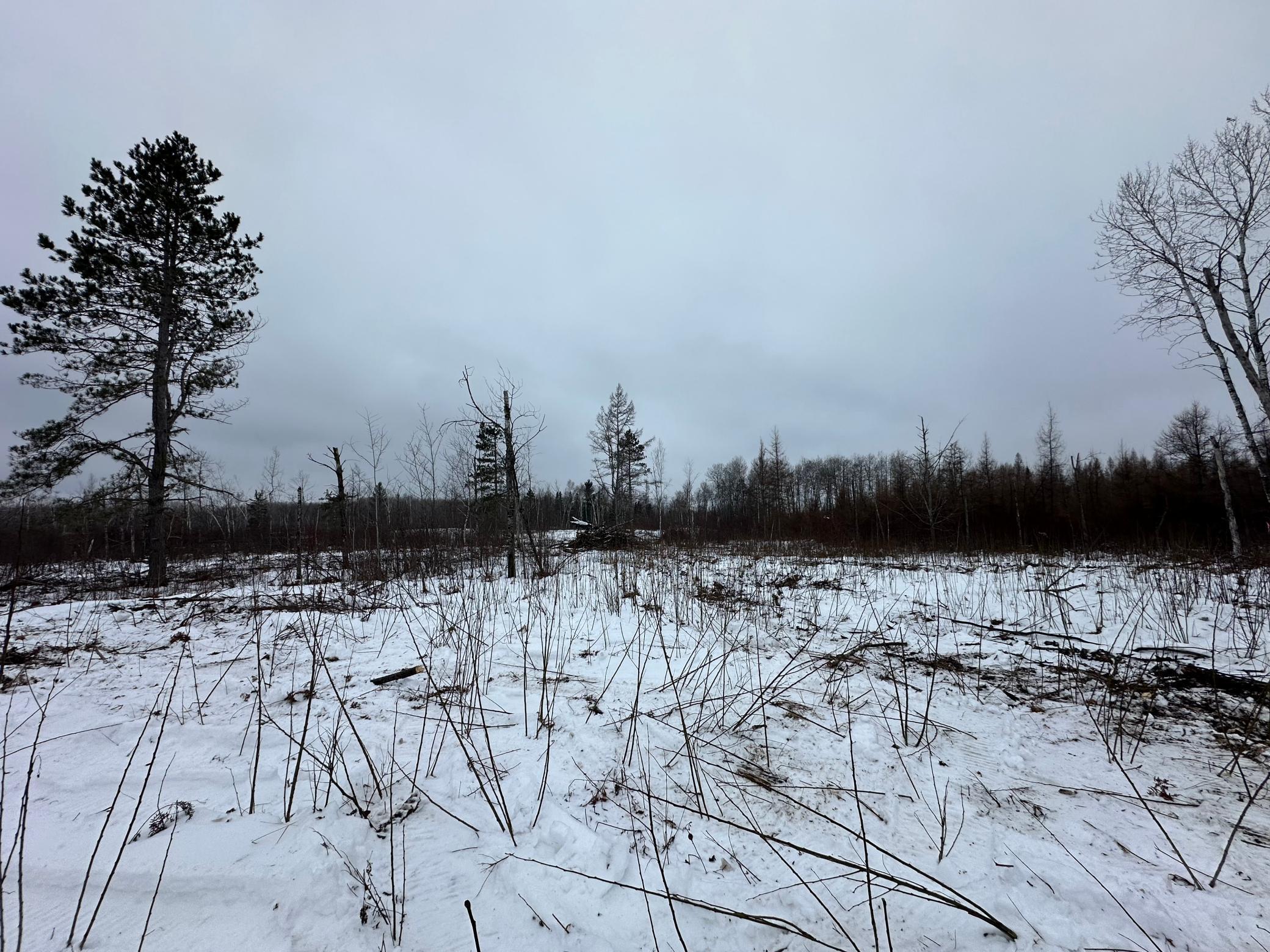 Homes for sale in Kerrick, MN | Tbd #4 Koecher Rd, Kerrick, MN 55756 | MLS# 7002700