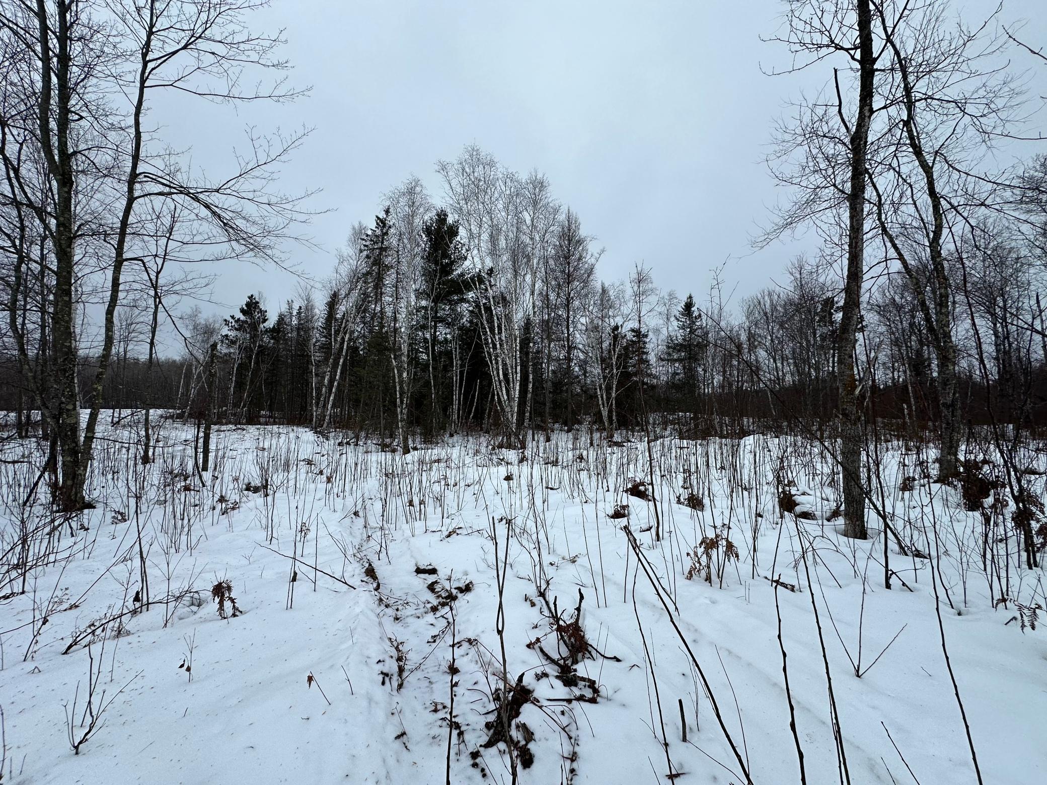Homes for sale in Kerrick, MN | Tbd #4 Koecher Rd, Kerrick, MN 55756 | MLS# 7002700