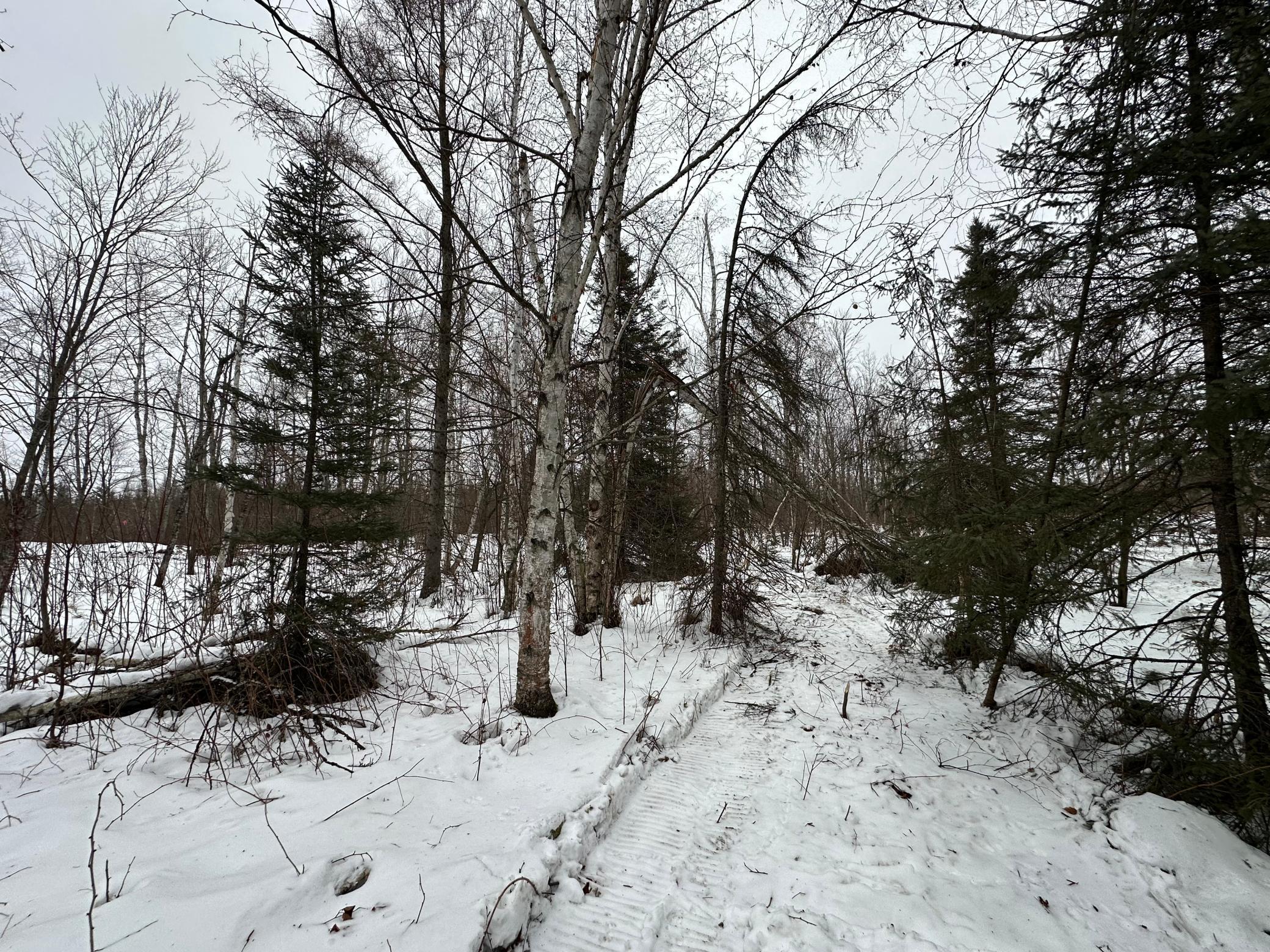 Homes for sale in Kerrick, MN | Tbd #4 Koecher Rd, Kerrick, MN 55756 | MLS# 7002700